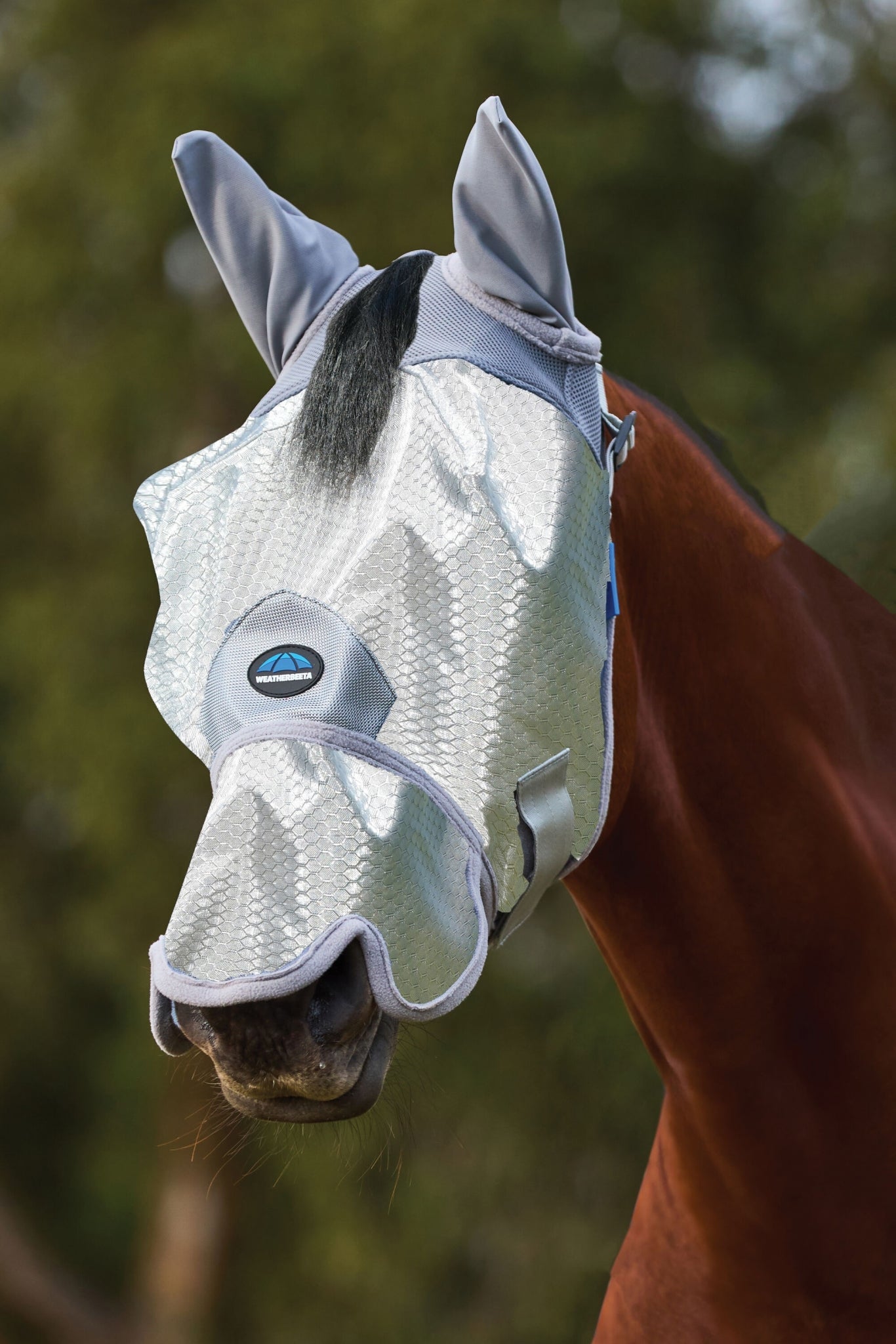 Weatherbeeta ComFiTec Hexi Shield Fly Mask with Ears & Nose