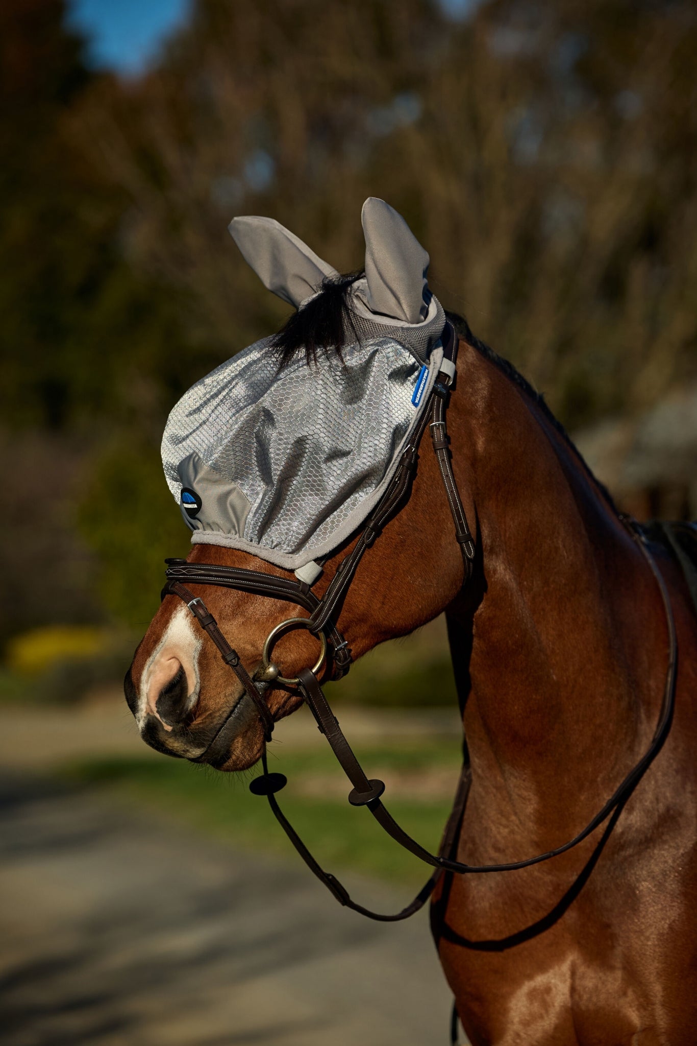 Weatherbeeta ComFiTec Hexi Shield Ride On Fly Mask