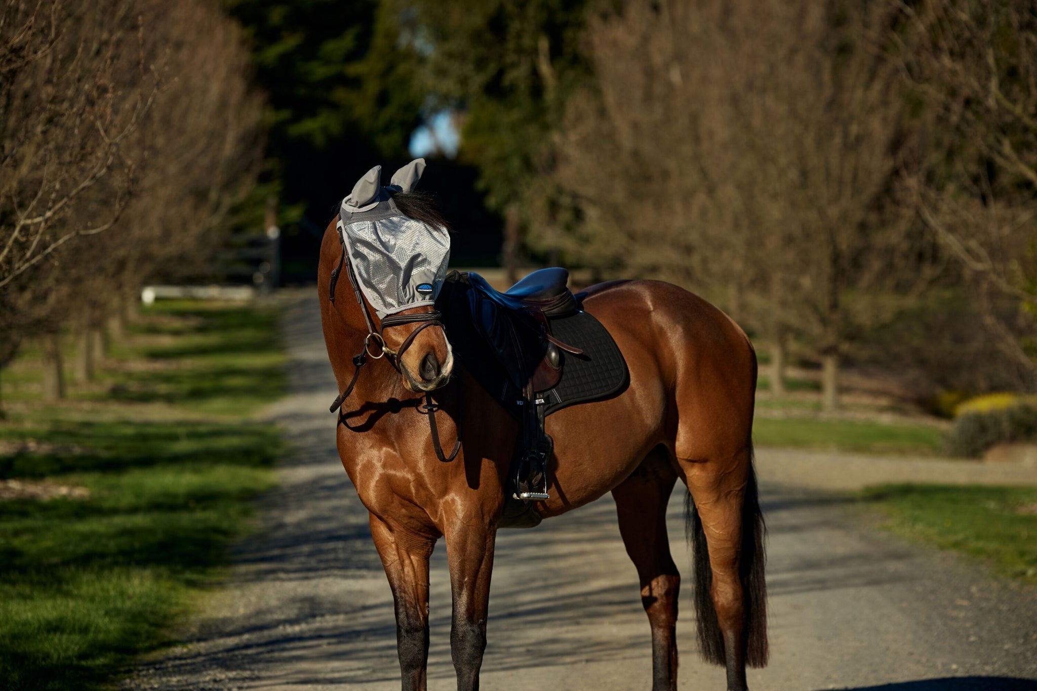 Weatherbeeta ComFiTec Hexi Shield Ride On Fly Mask