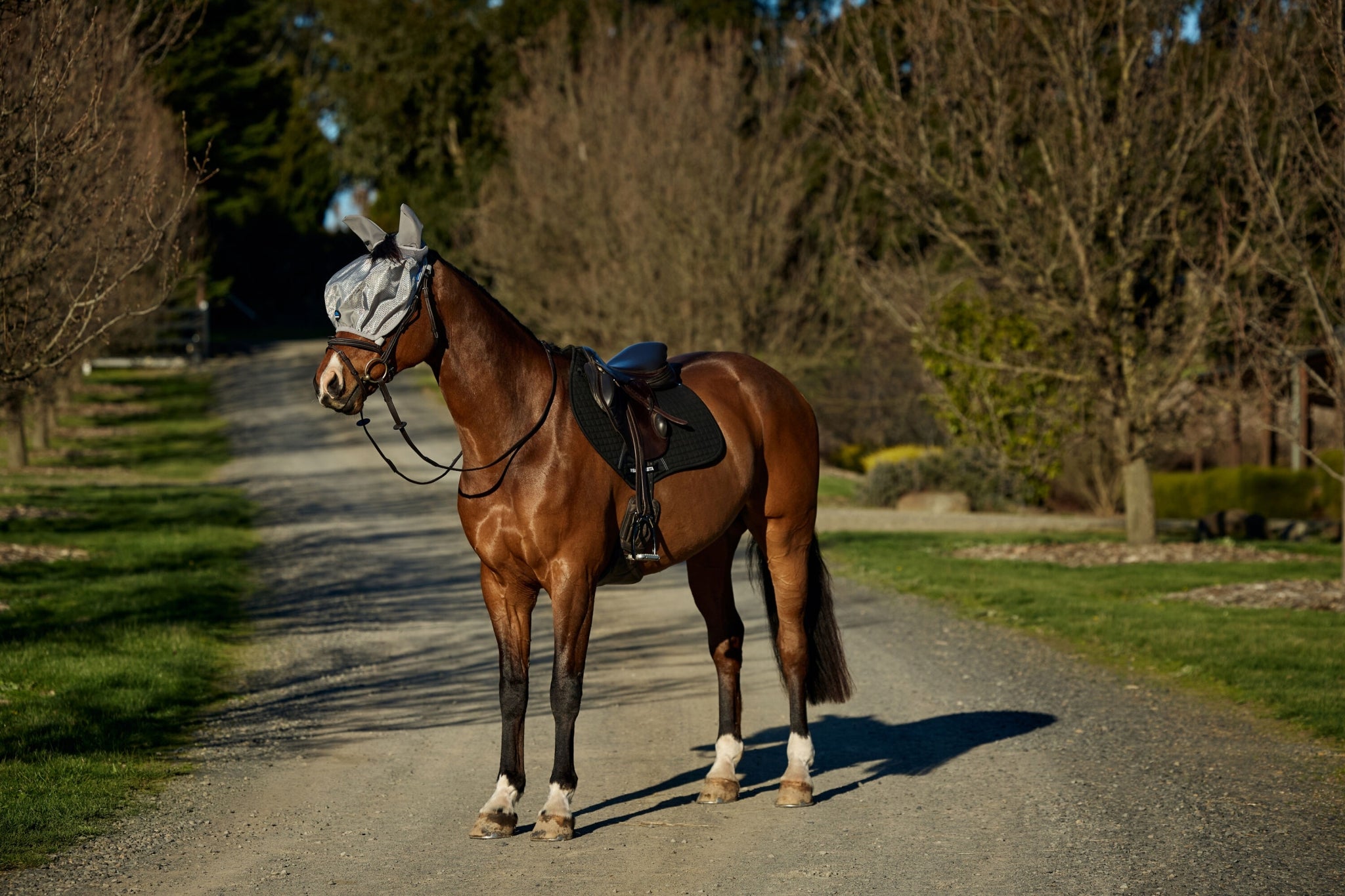 Weatherbeeta ComFiTec Hexi Shield Ride On Fly Mask