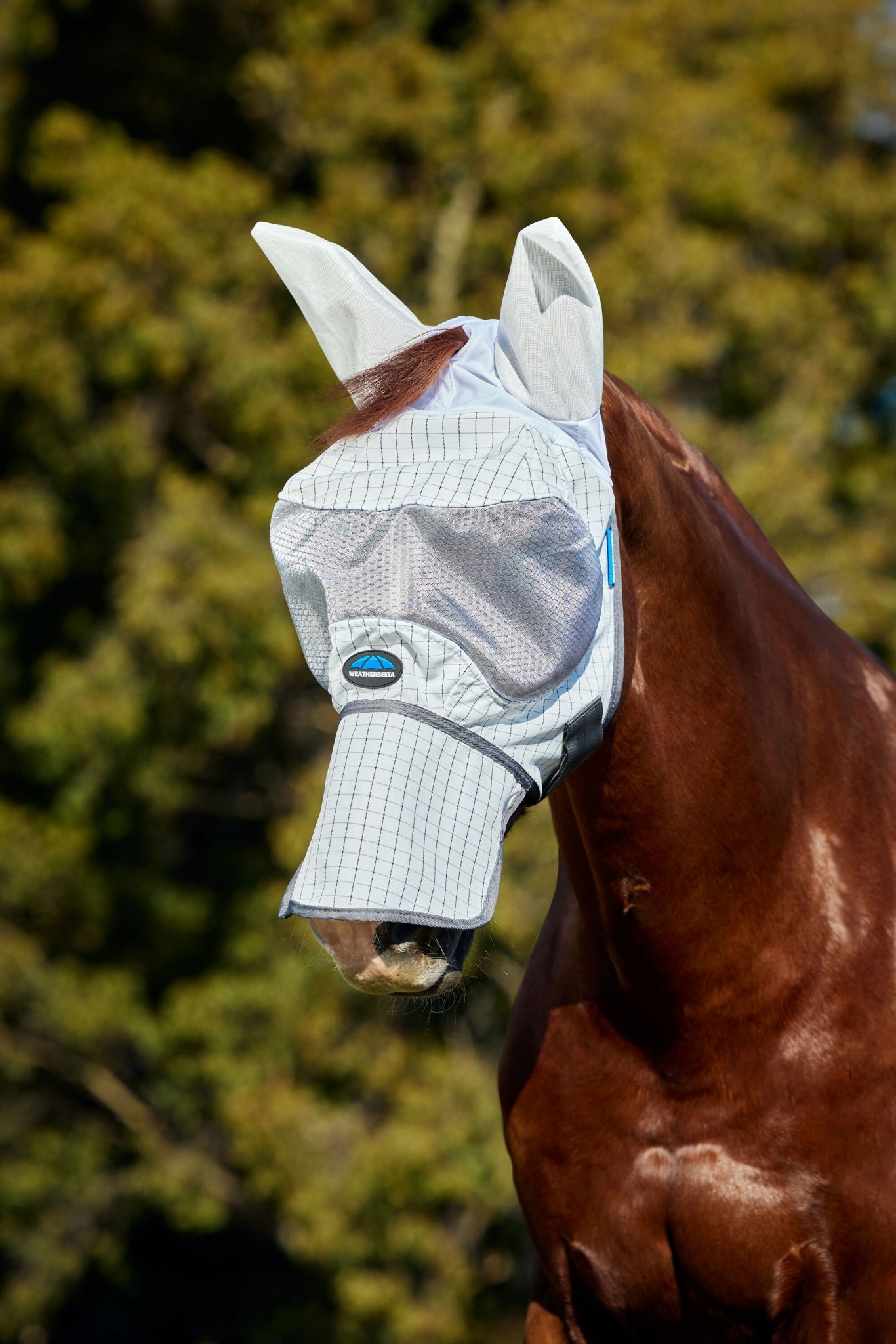 Weatherbeeta Hybrid Fly Mask