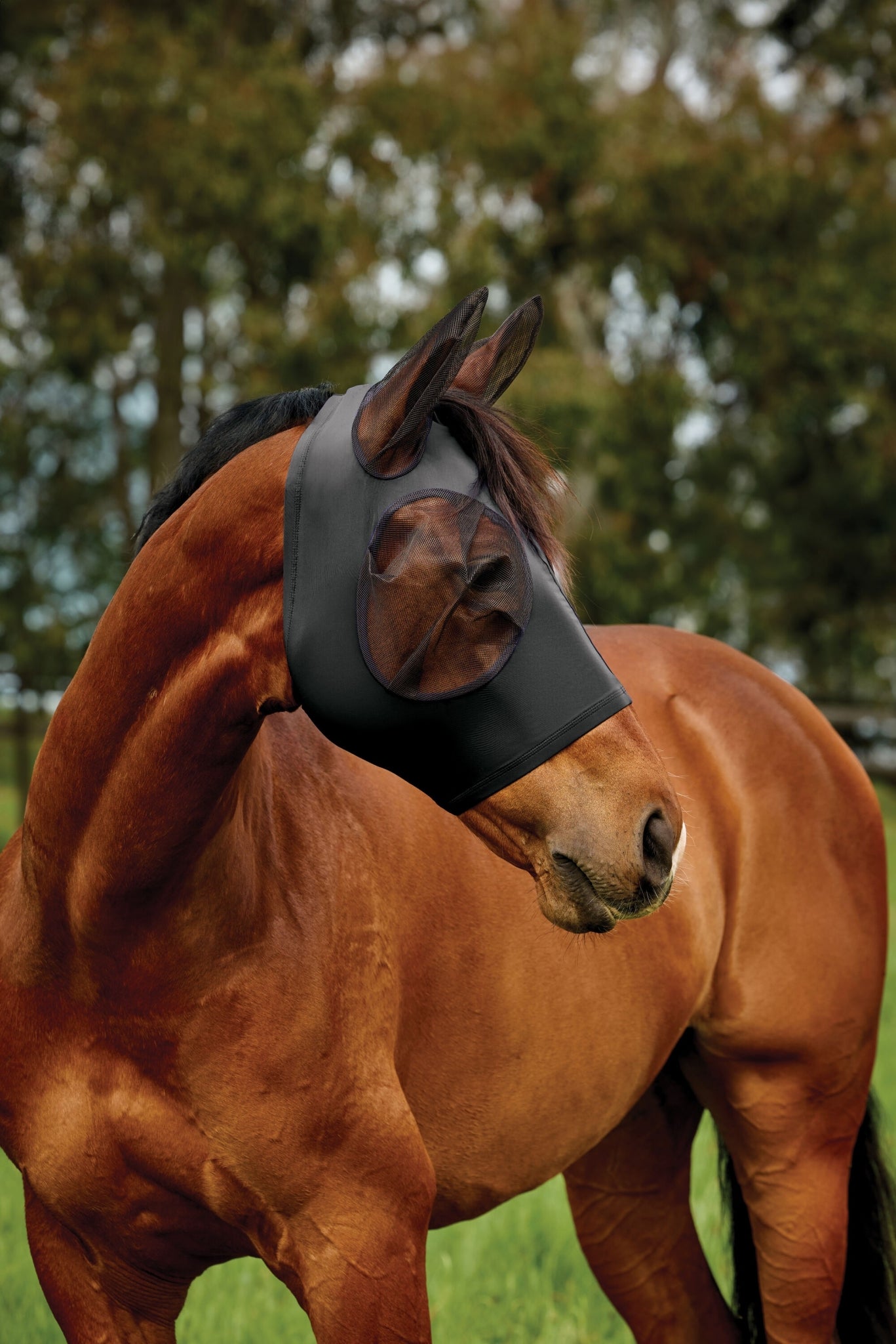 Weatherbeeta ComFiTec Deluxe Stretch Fly Mask with Ears