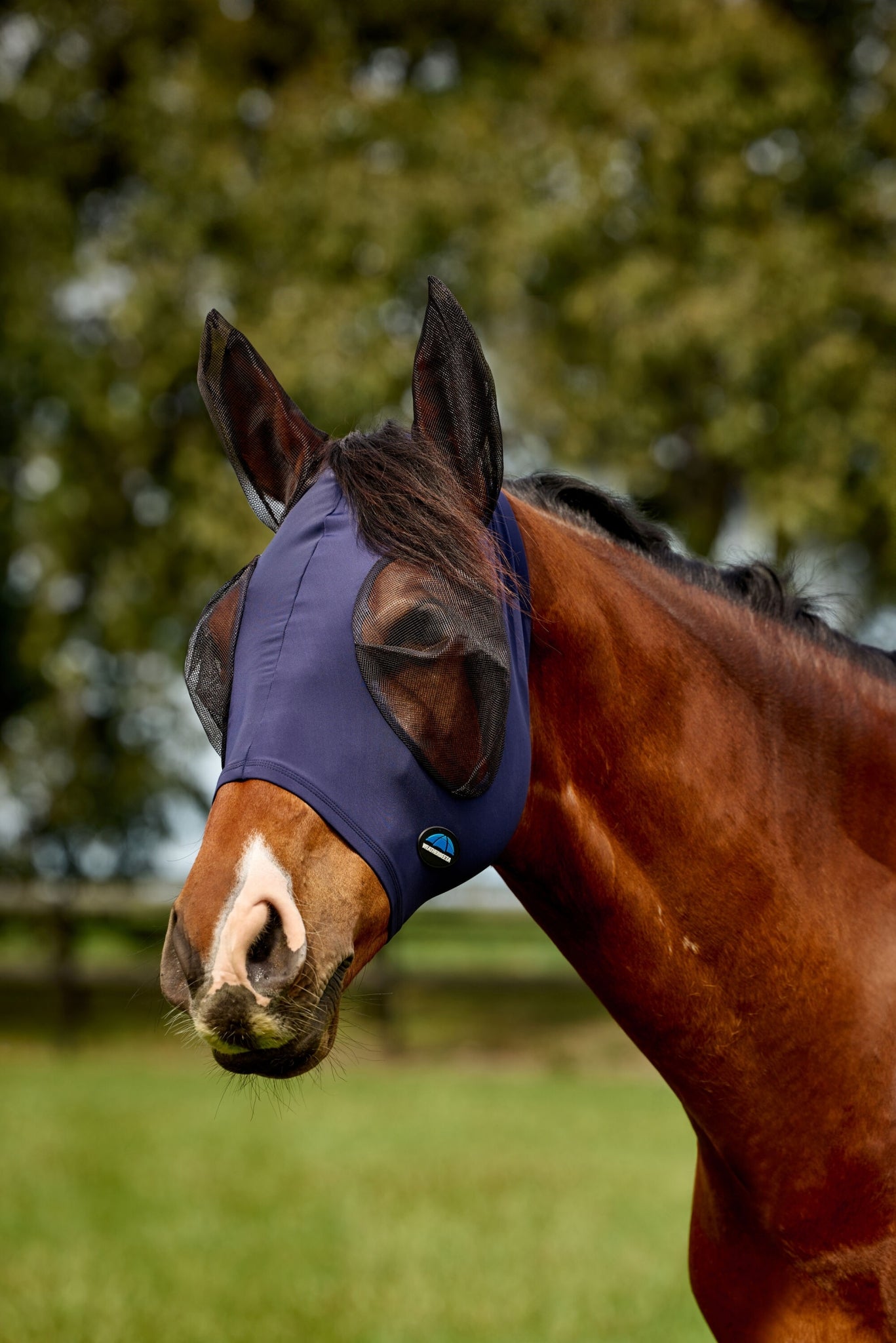 Weatherbeeta ComFiTec Deluxe Stretch Fly Mask with Ears