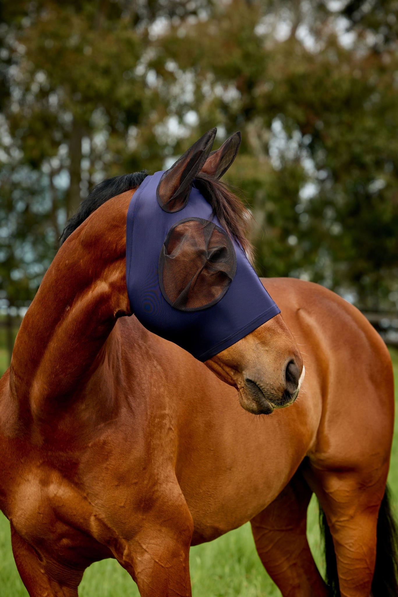 Weatherbeeta ComFiTec Deluxe Stretch Fly Mask with Ears