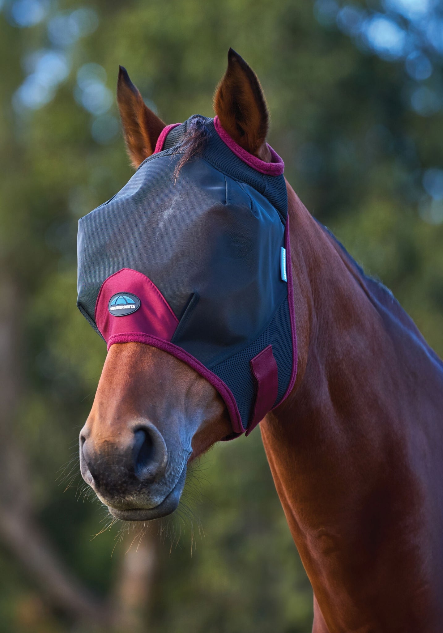 Weatherbeeta ComFiTec Fine Mesh Fly Mask
