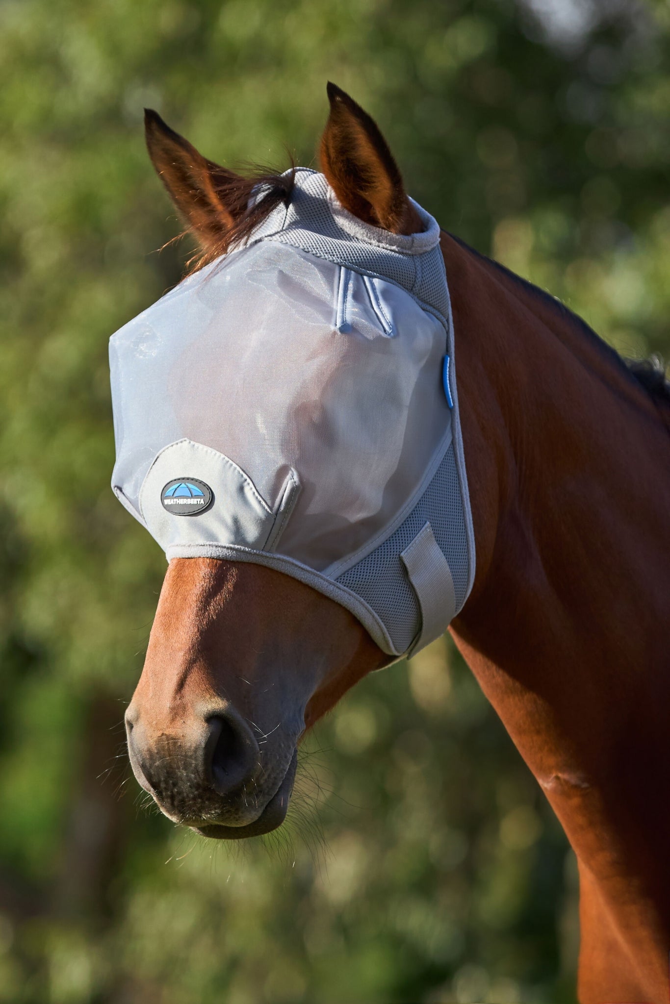 Weatherbeeta ComFiTec Fine Mesh Fly Mask