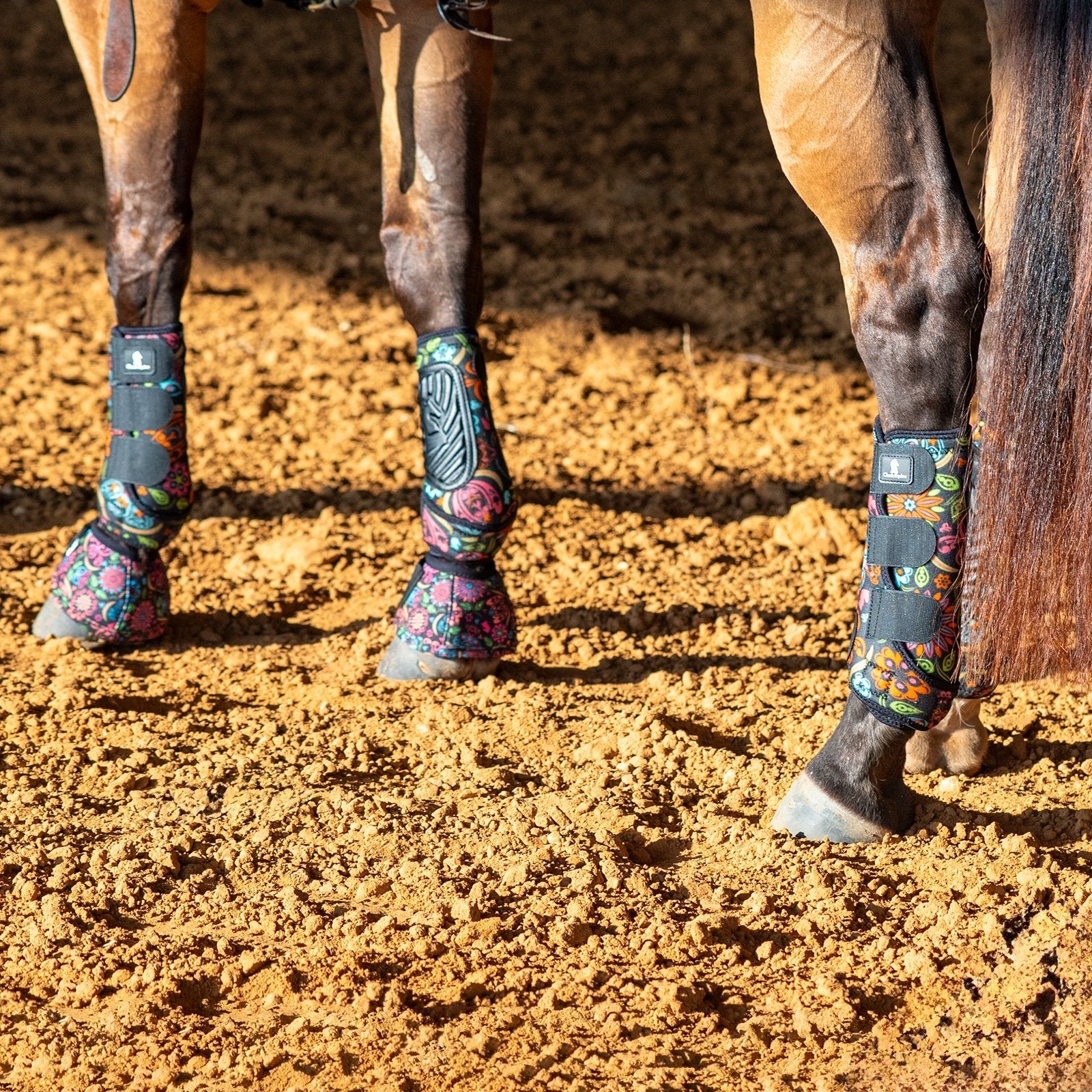 Classic Equine Classicfit Designer Front and Hind
