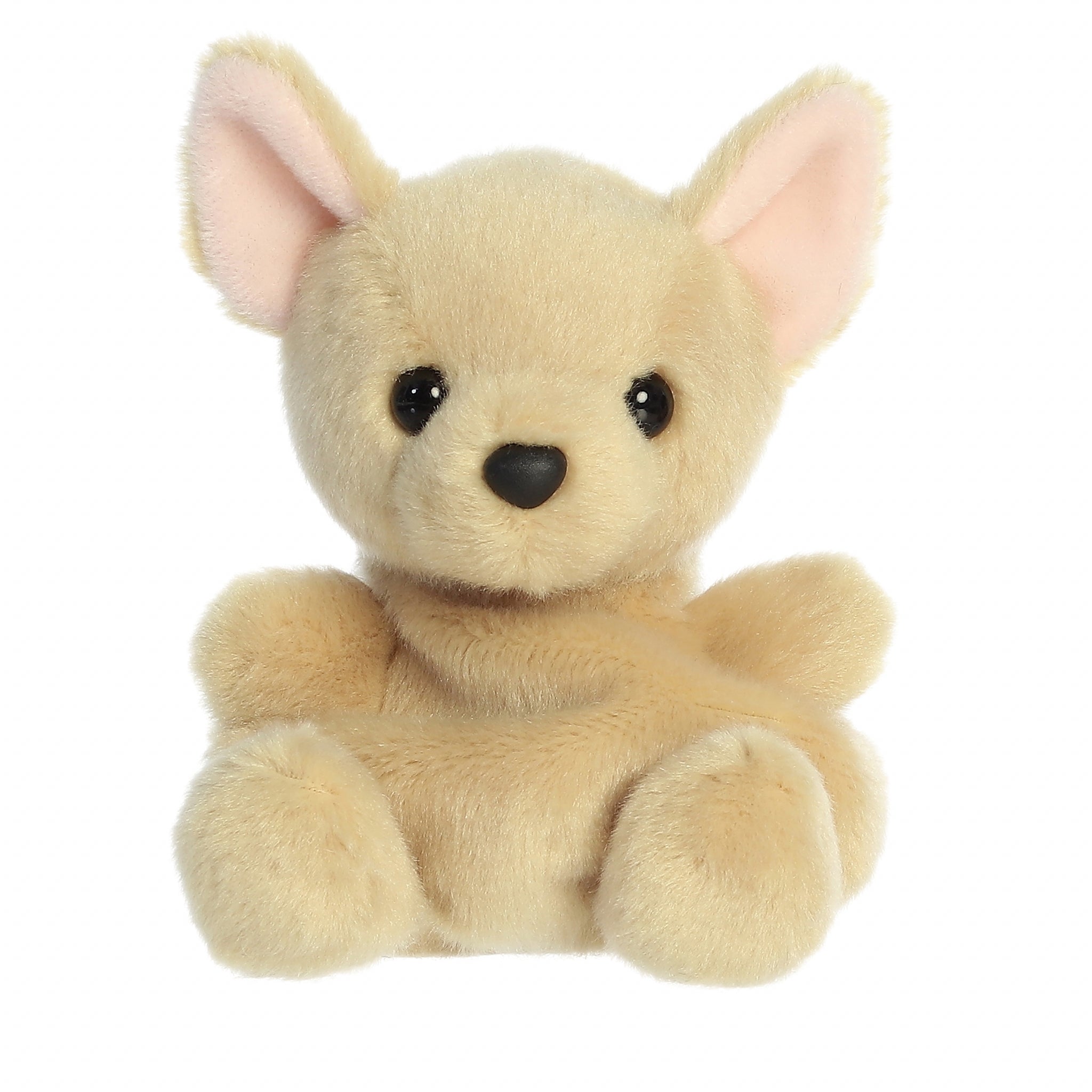 Palm Pals Plush Pal Cookie Chihuahua