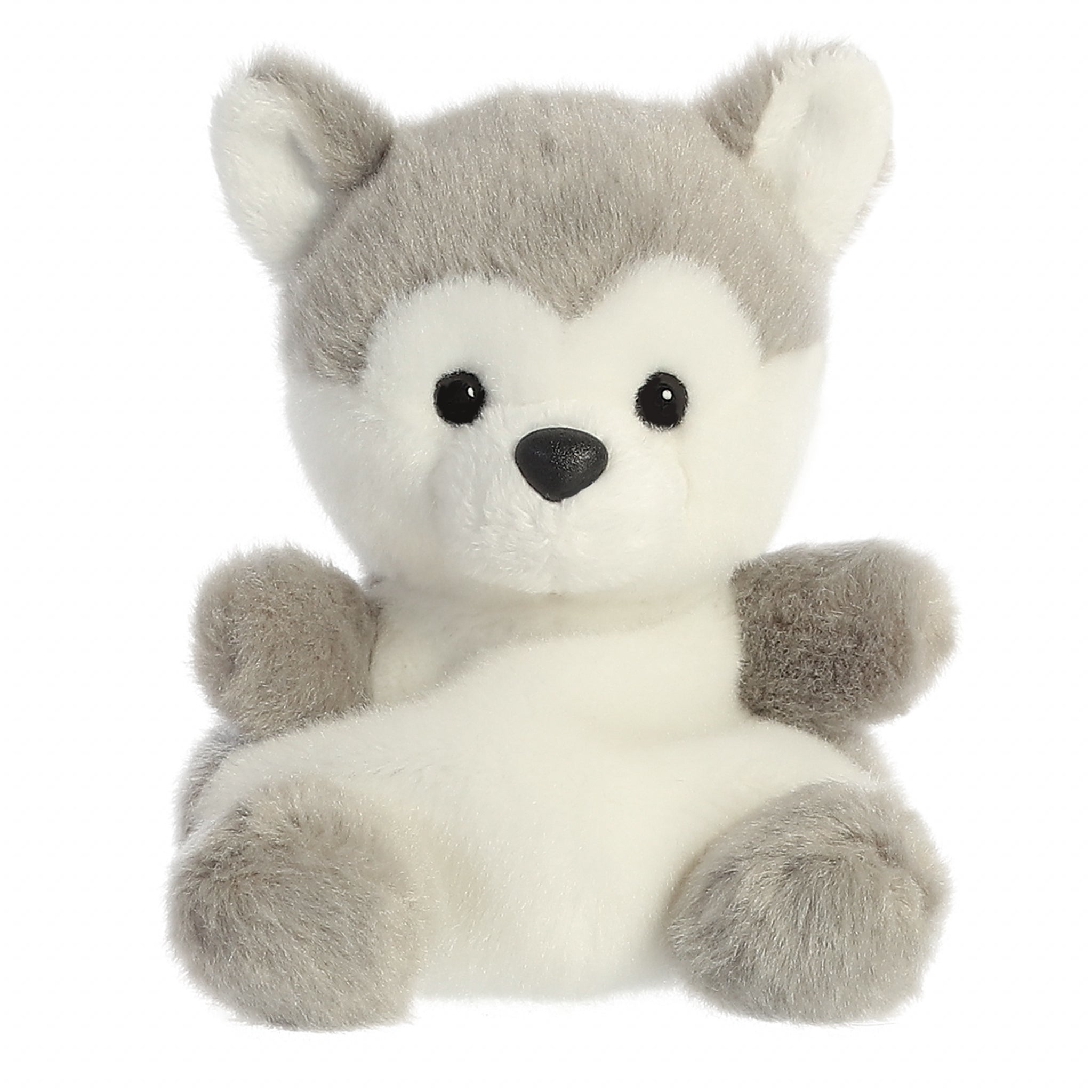 Palm Pals Plush Pal Busky Husky