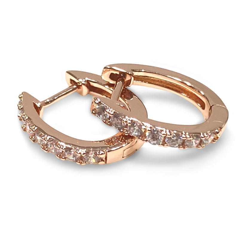Horseshoe Hinge Earrings with Clear CZ Stones