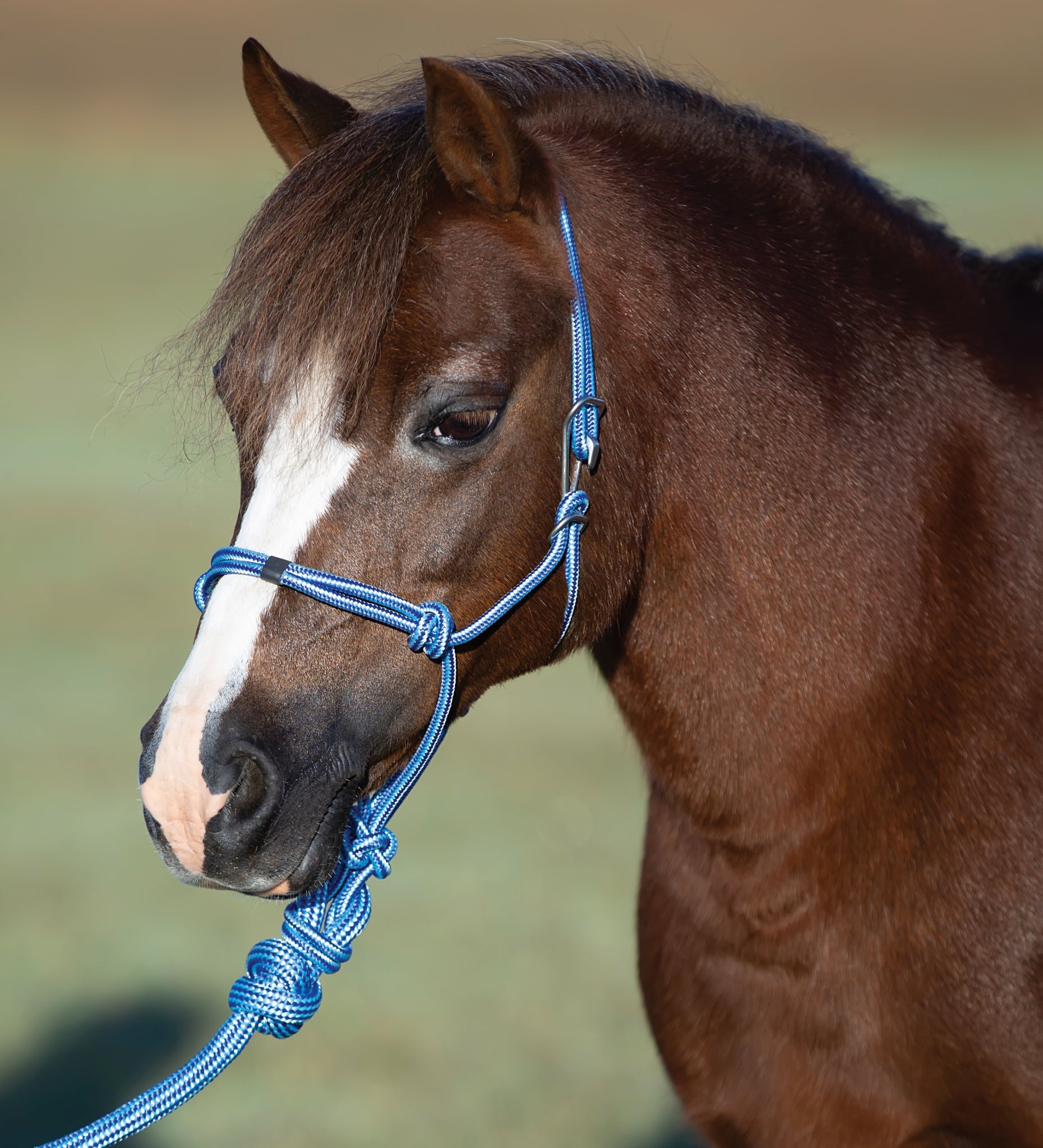 Professionals Choice Easy On Rope Halter