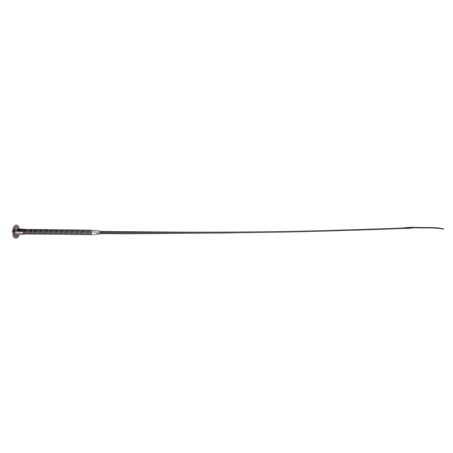 Shires Deluxe Diamante Schooling Whip