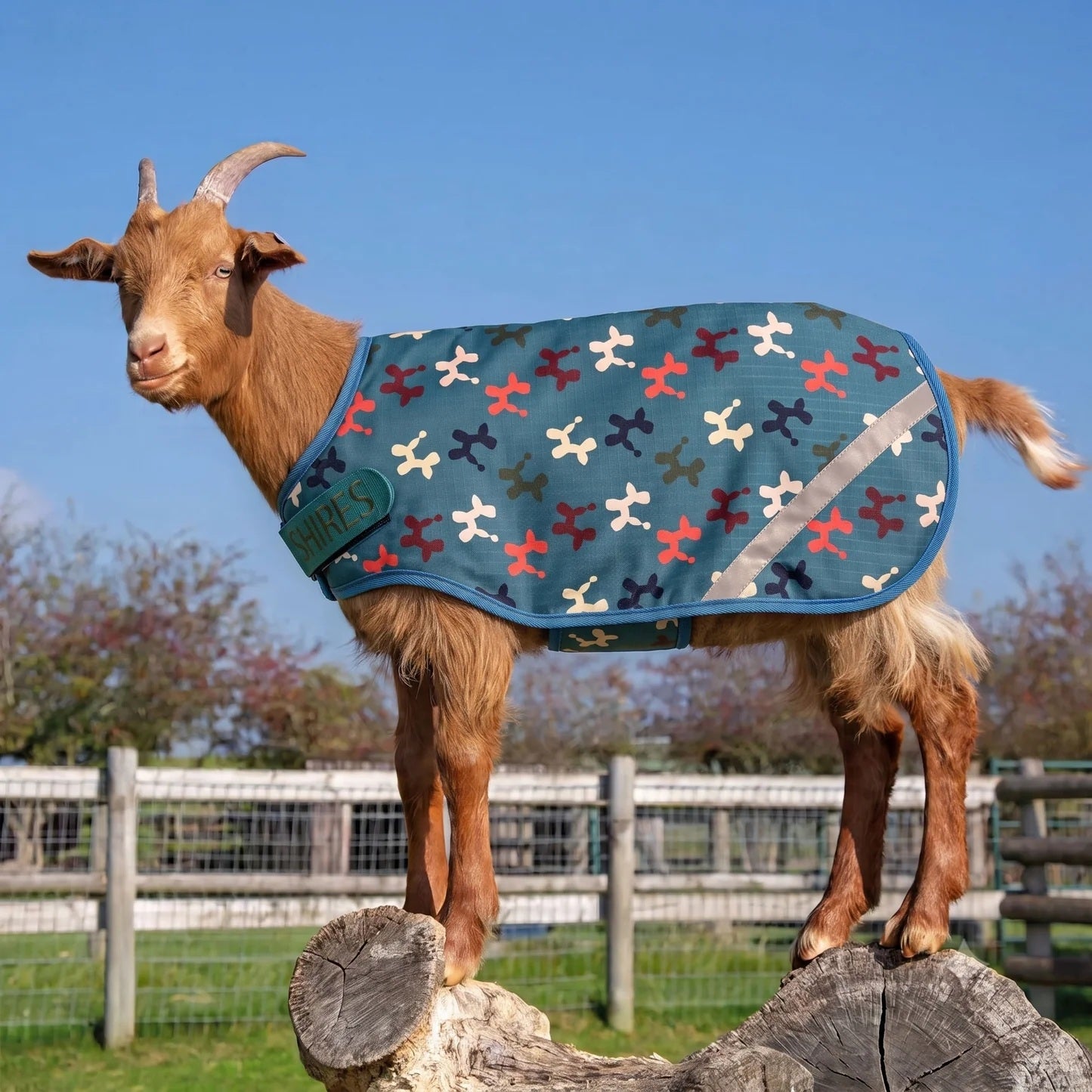 Shires Tempest 100 Goat Rug