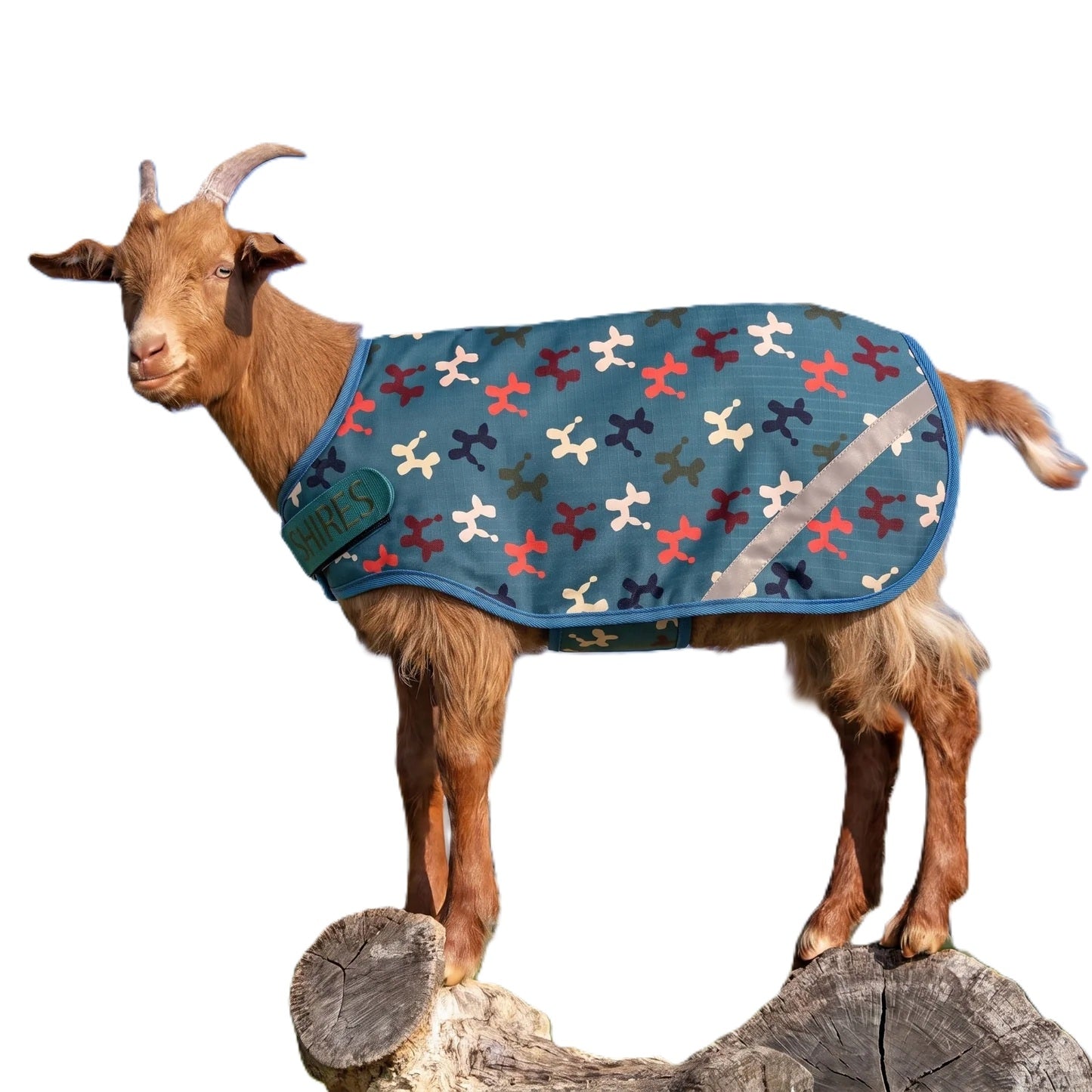 Shires Tempest 100 Goat Rug