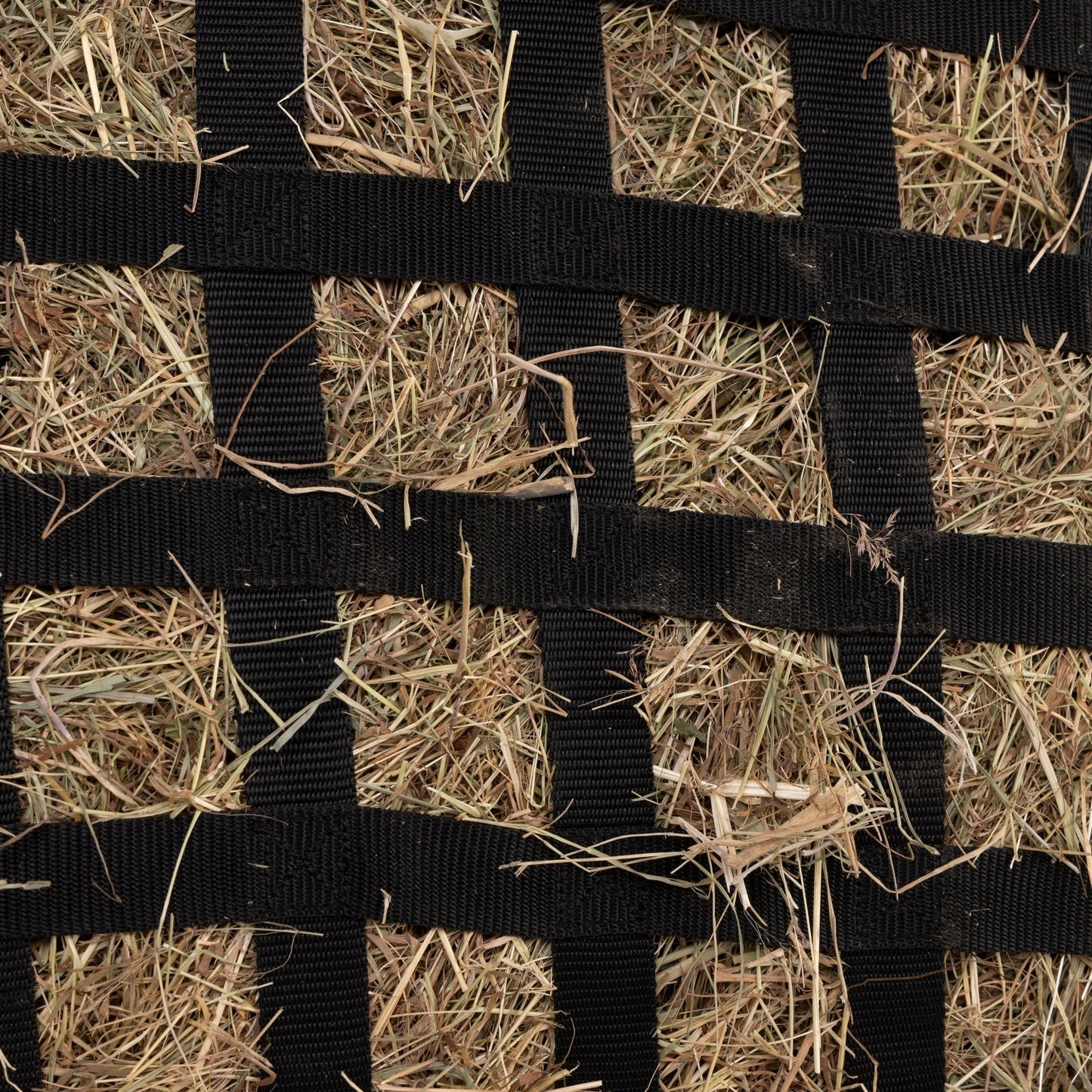 Shires FreeGraze Slow Feed Web Hay Bag