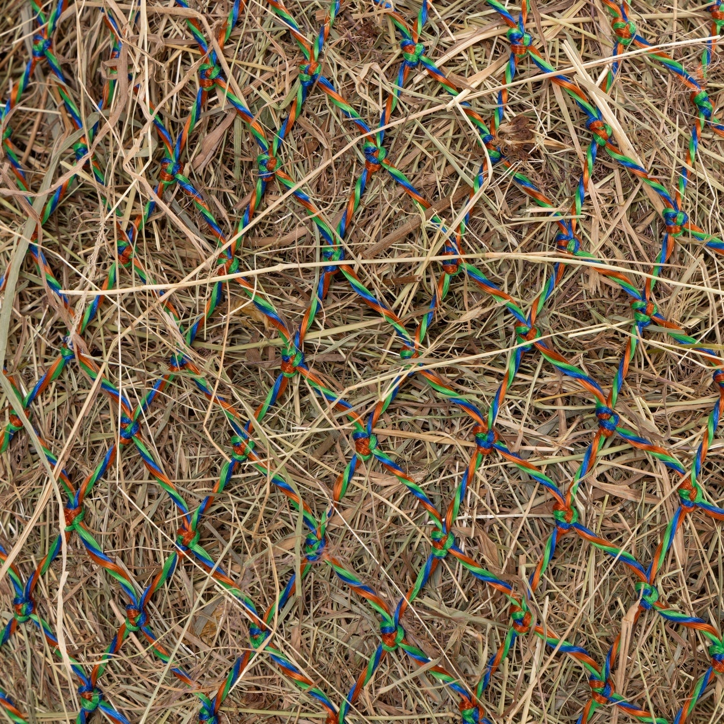 Shires Greedy Feeder Color-Twist Net