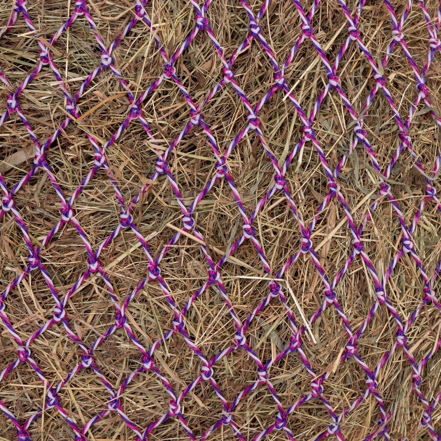 Shires Greedy Feeder Color-Twist Net
