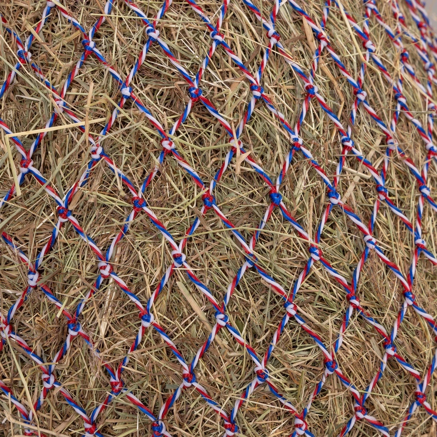 Shires Greedy Feeder Color-Twist Net