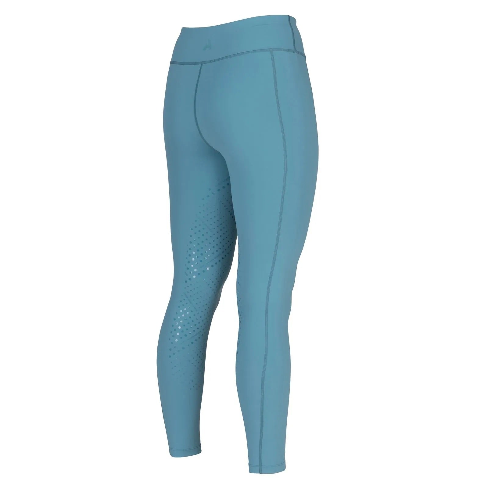 Shires Aubrion React Non Stop Riding Tights