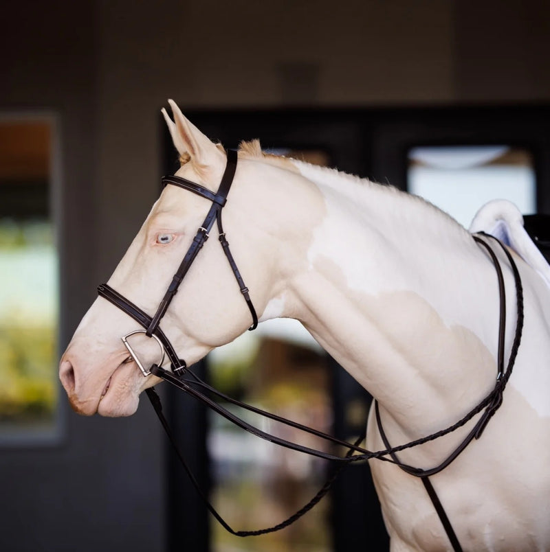 Shires Velociti Fancy Square Raised Standing Martingale