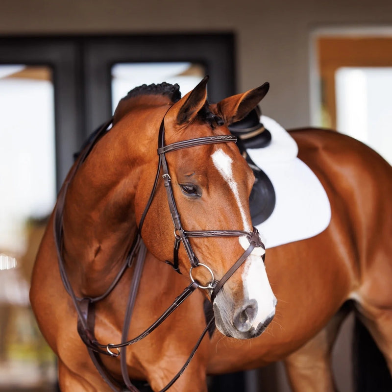 Shires Velociti Fancy Square Raised Running Martingale