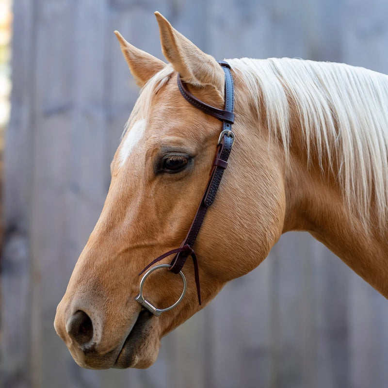 Shires Velociti One Ear Headstall with Rawhide Knotting