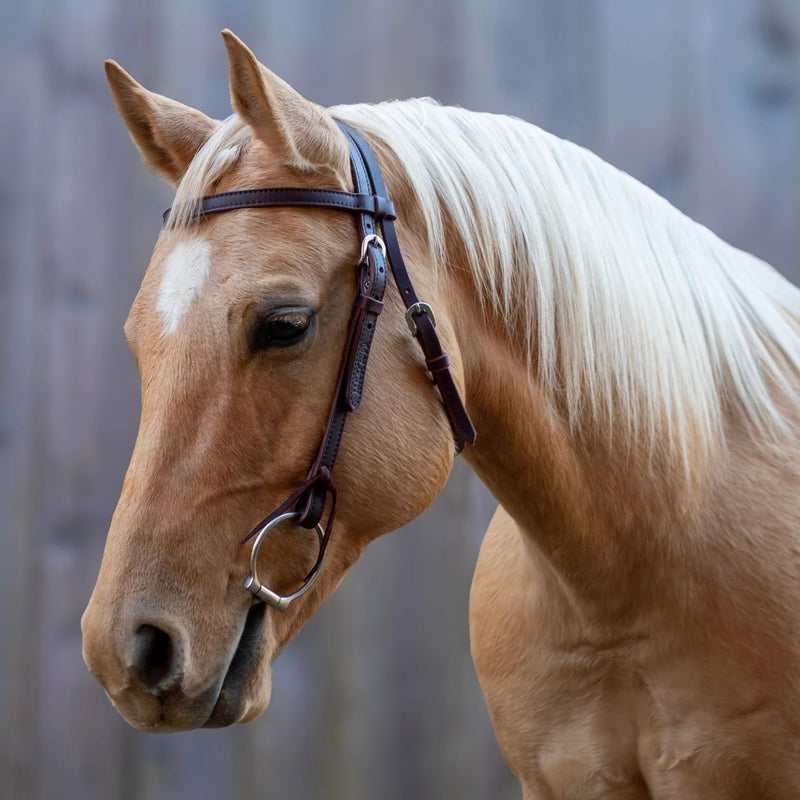 Shires Velociti Browband Headstall with Rawhide Knotting