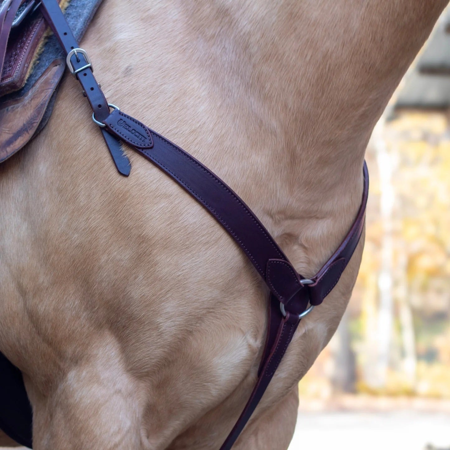 Shires Velociti Shaped Breastcollar