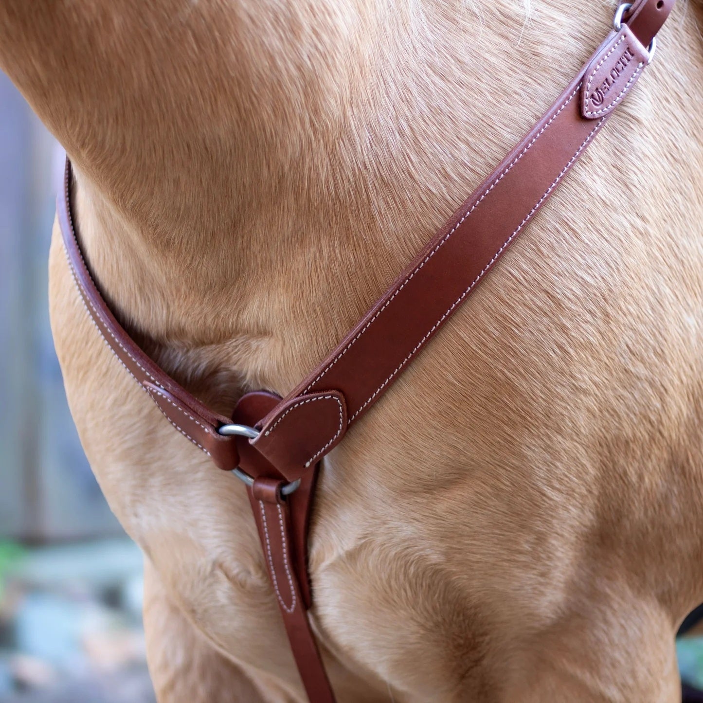 Shires Velociti Shaped Breastcollar