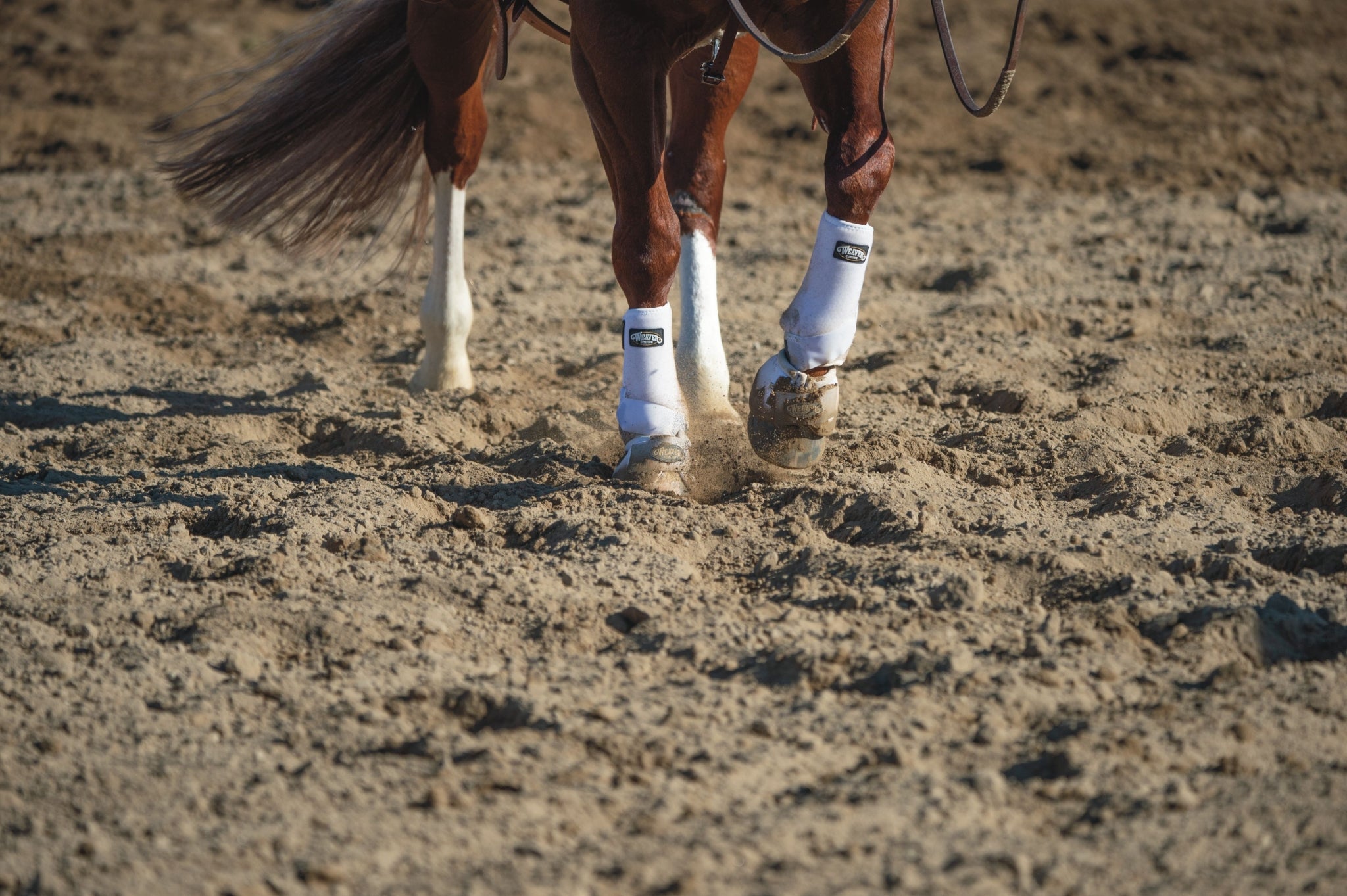 Weaver Prodigy F3 Hind Boots