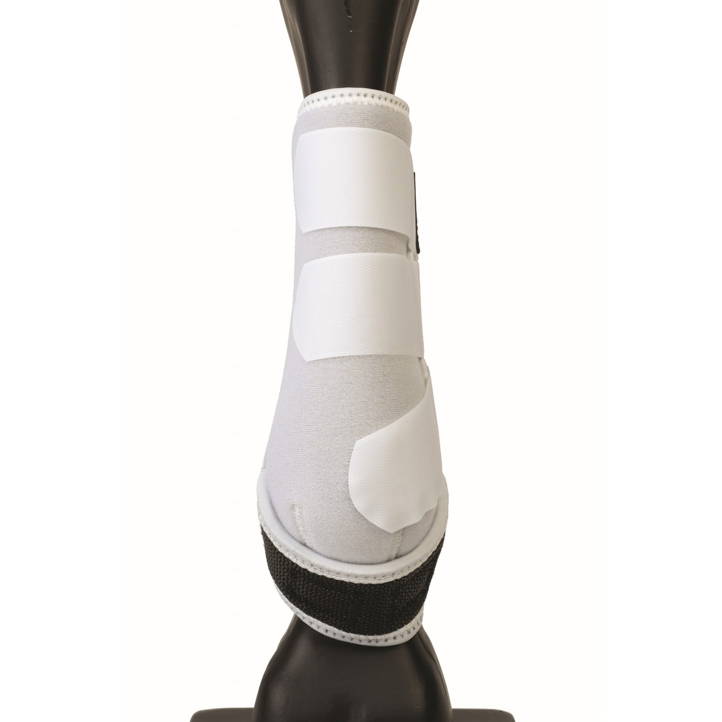 4-499550-03.jpg