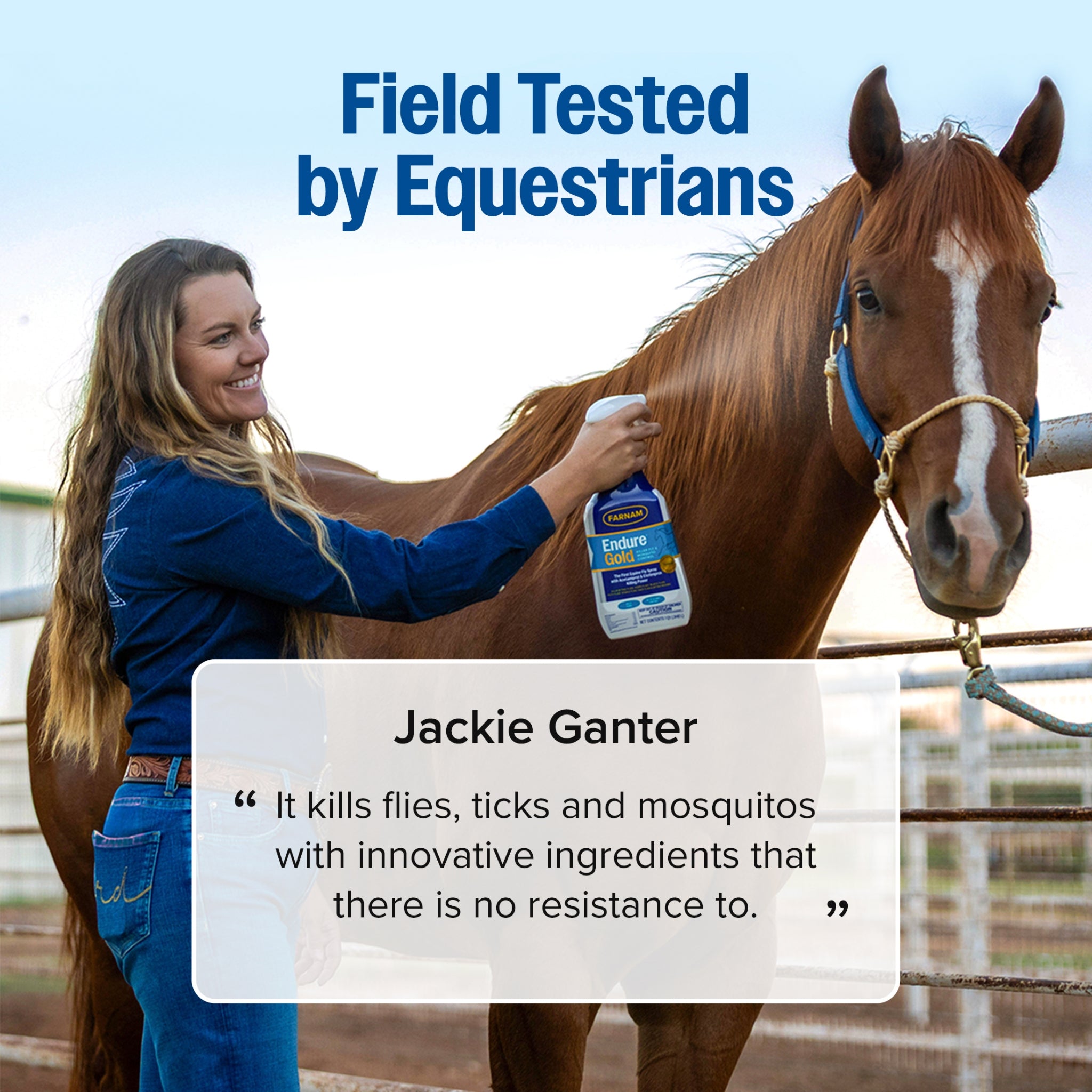 Farnam Endure Gold Fly Spray for Horses