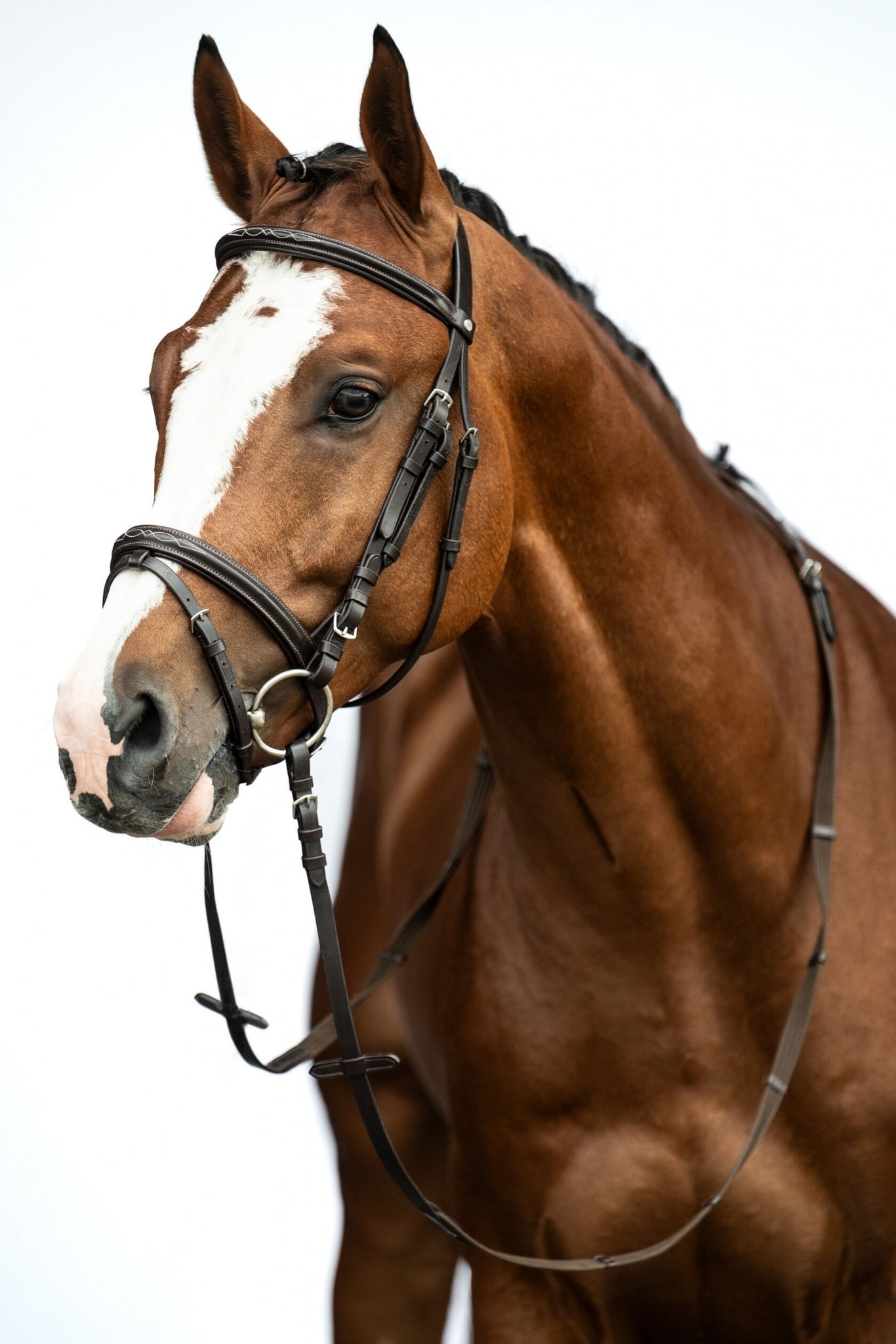 HKM Jana Bridle
