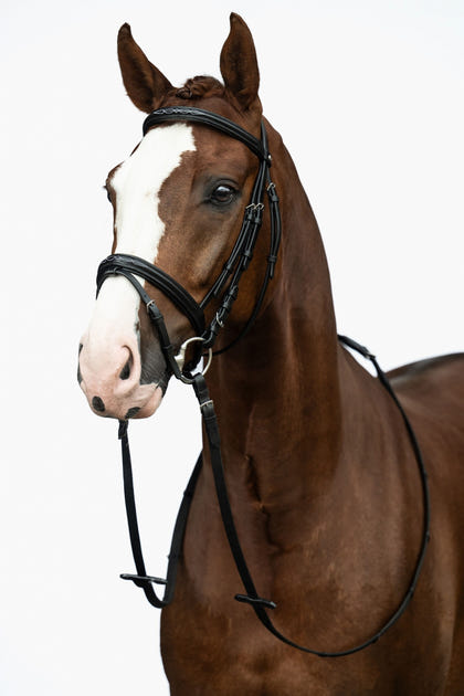 HKM Jana Bridle
