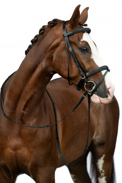 HKM Jana Bridle