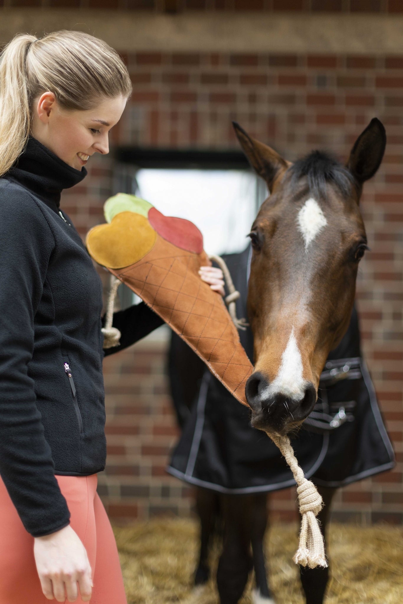 HKM Ice Cream Toy For Horses