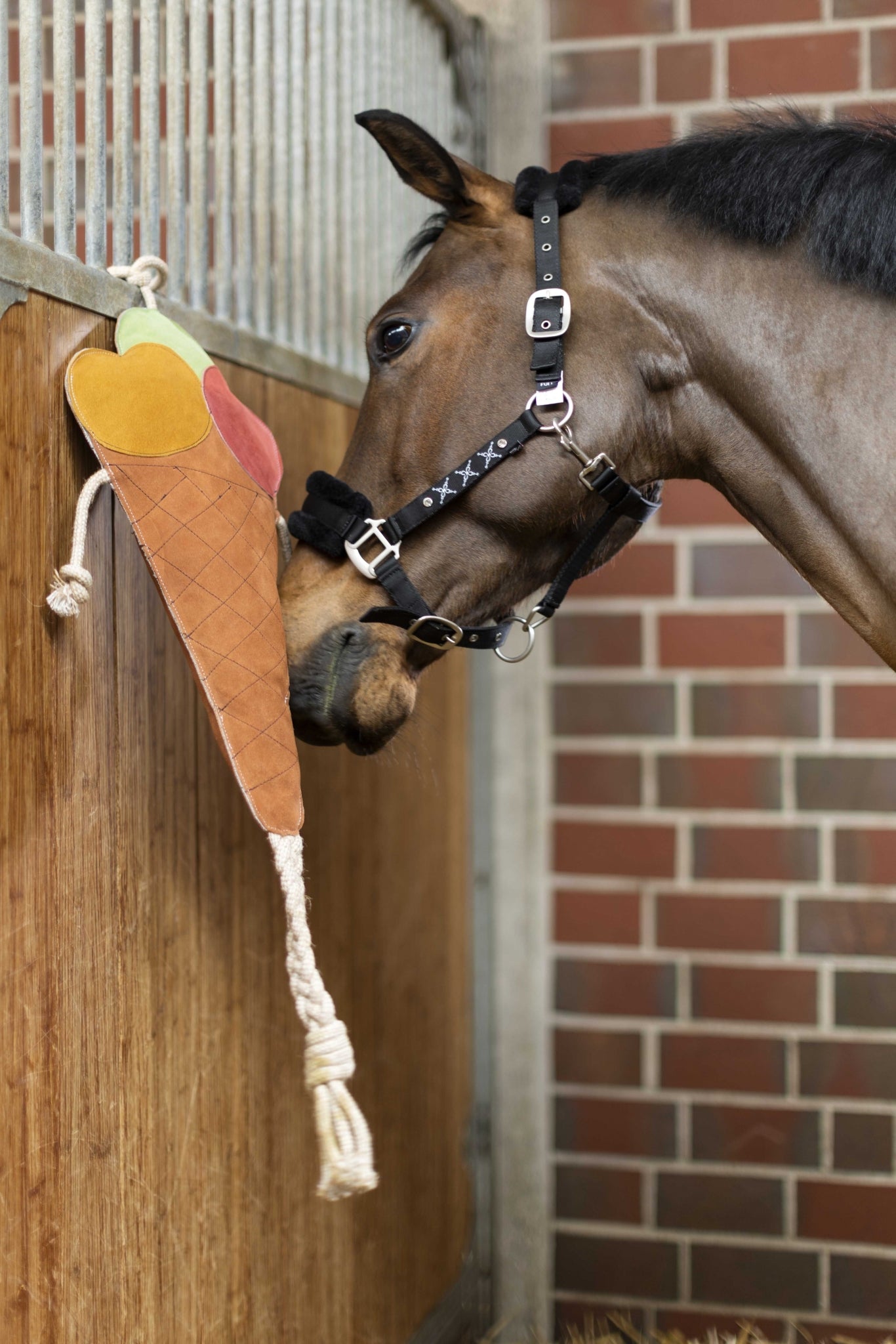 HKM Ice Cream Toy For Horses
