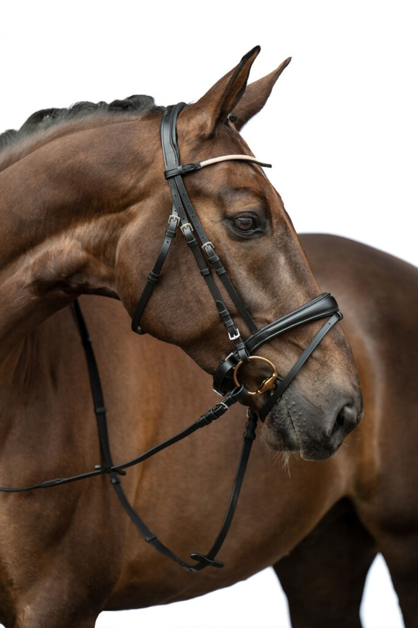HKM Kopenhagen Bridle