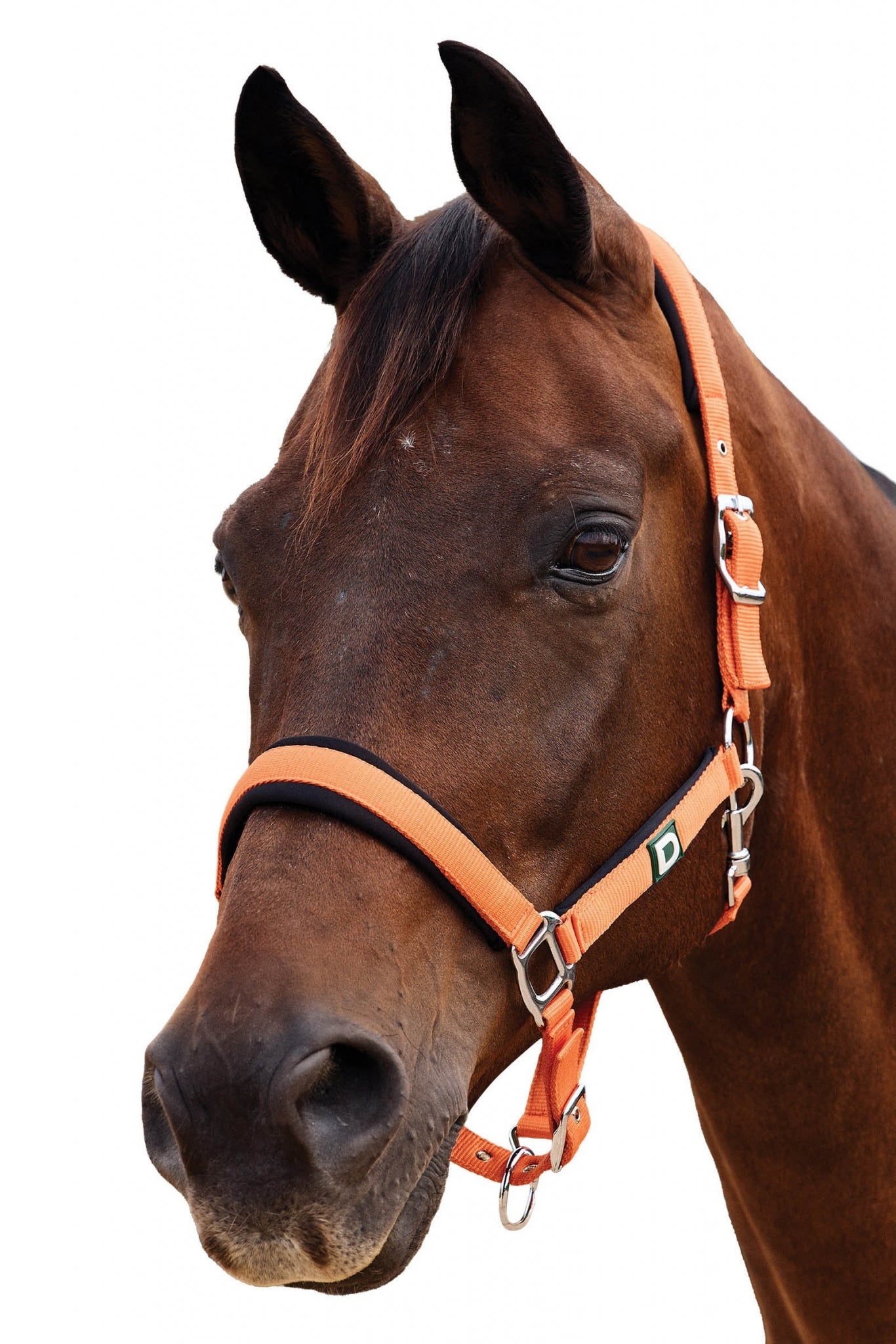 Dublin Neo Comfort Breakaway Halter