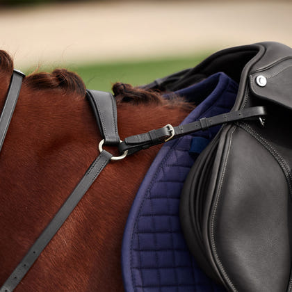 Dublin 3-Point Breastplate