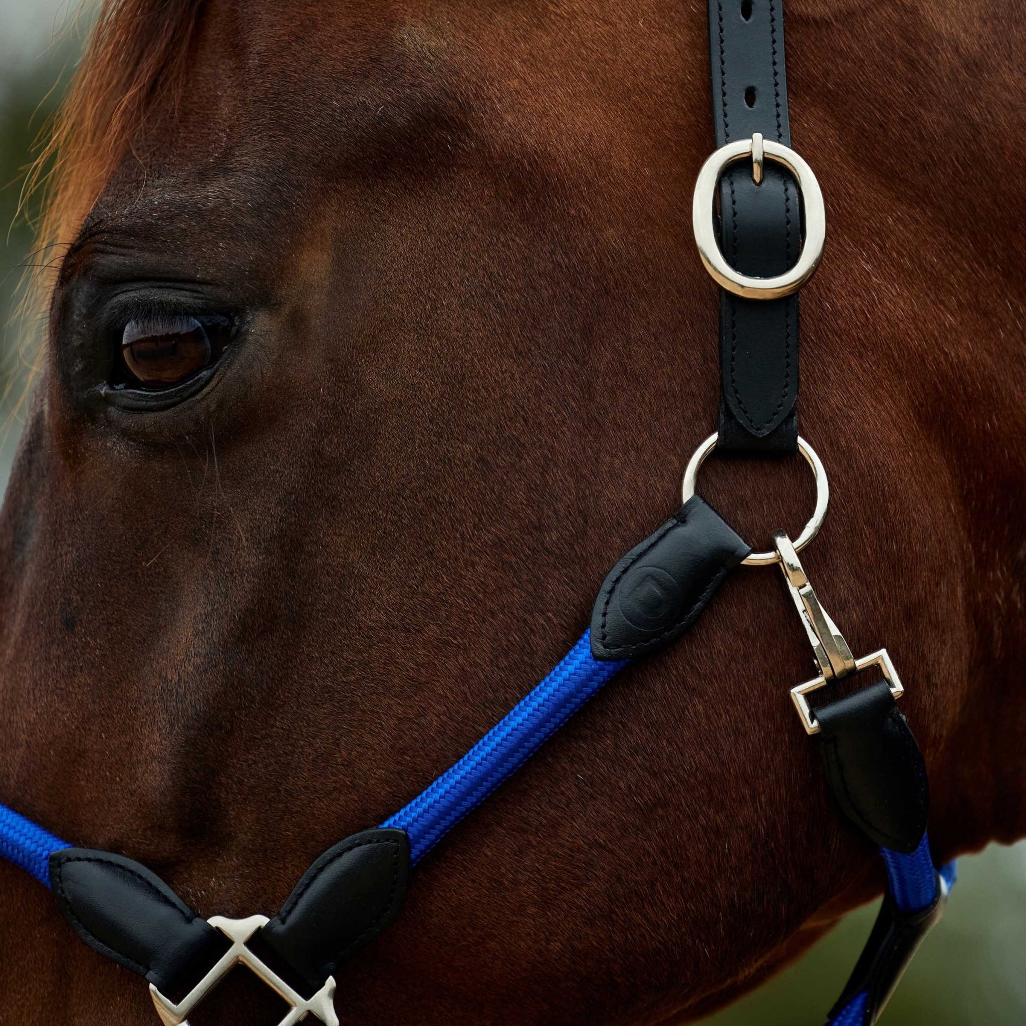 Dublin Leather Rope Headcollar