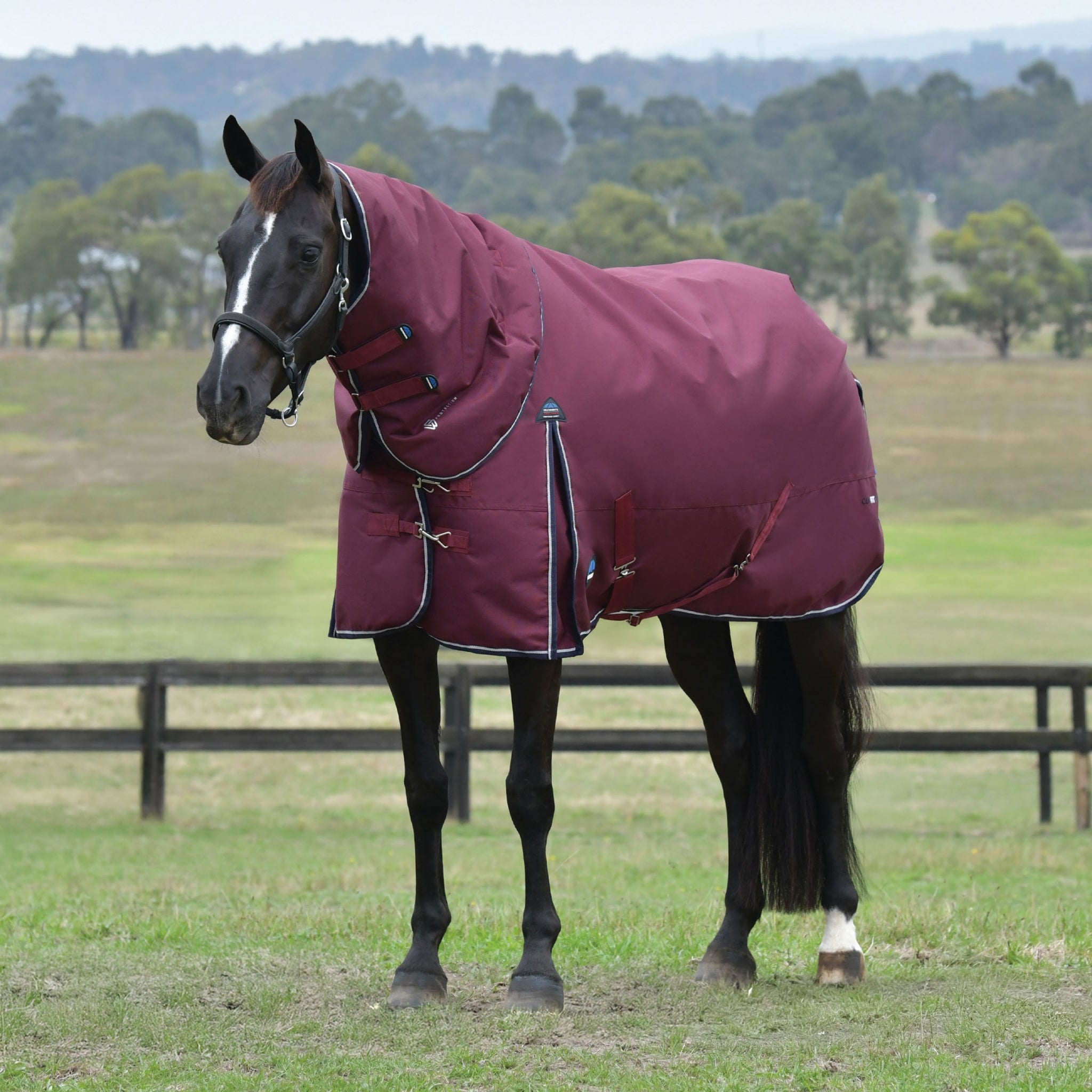 Weatherbeeta ComFiTec Essential Turnout Detach-A-Neck 50g