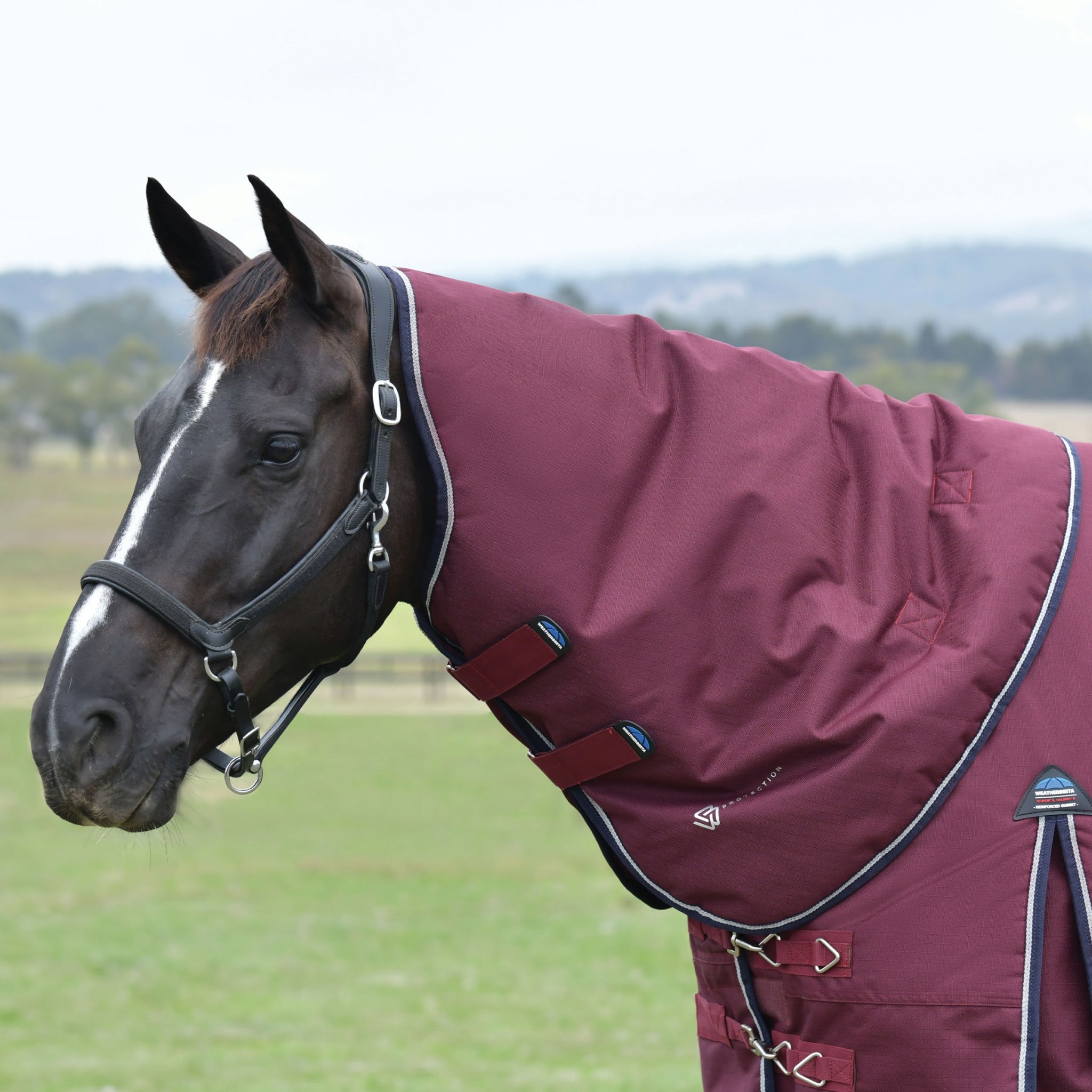 Weatherbeeta ComFiTec Essential Turnout Detach-A-Neck 50g