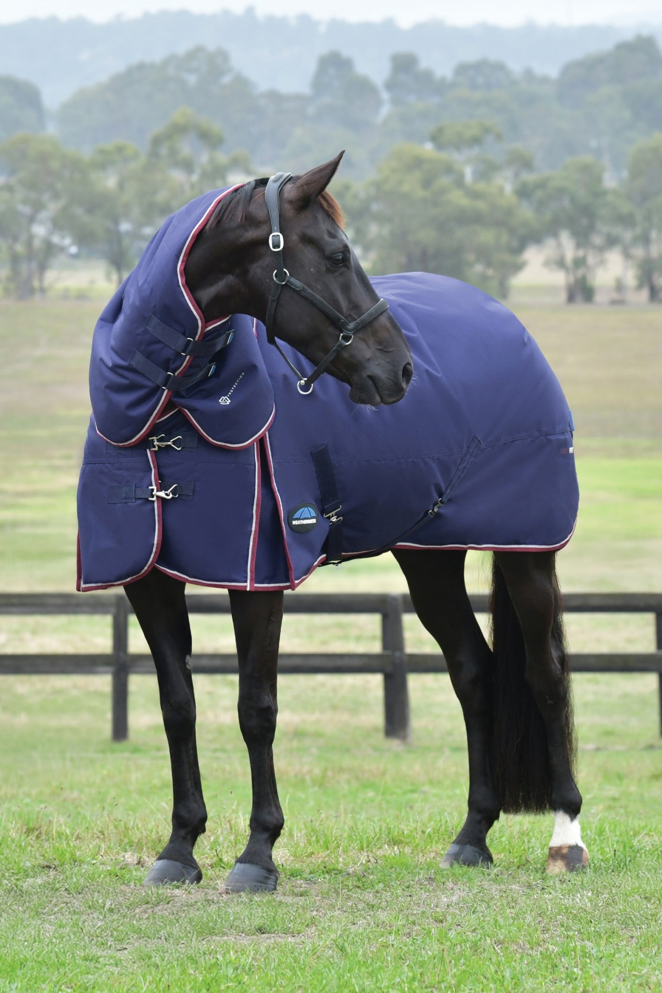 Weatherbeeta ComFiTec Essential Turnout Detach-A-Neck 50g