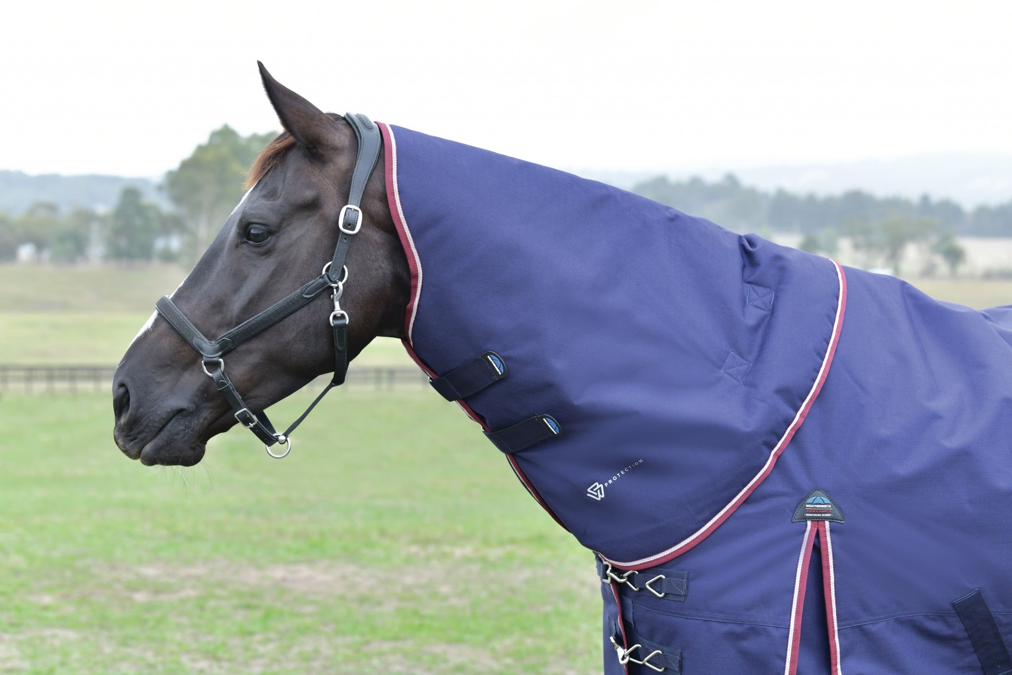 Weatherbeeta ComFiTec Essential Turnout Detach-A-Neck 50g