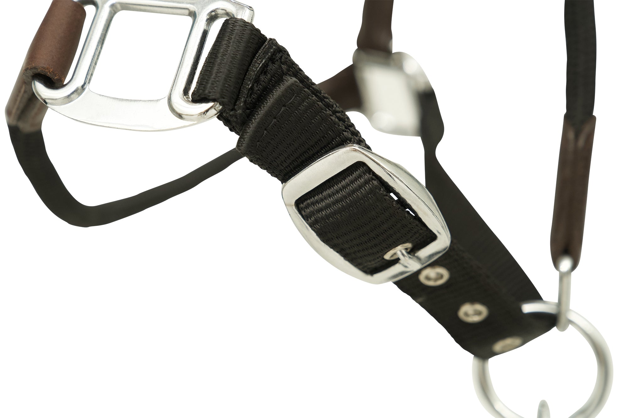 Huntley Equestrian Nylon Halter and Removable Lead with Snap