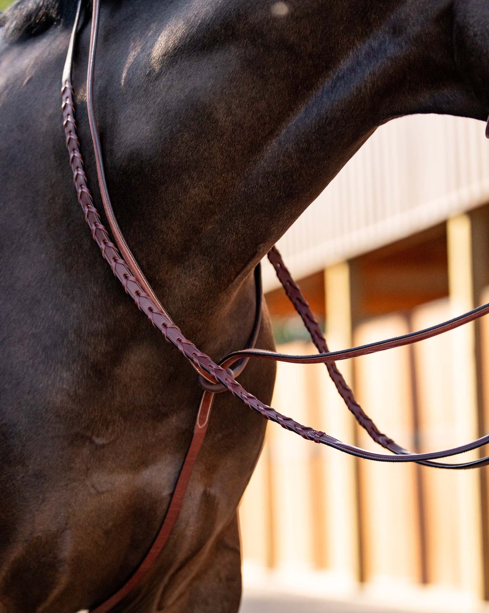 Huntley Equestrian Schooling Standing Martingale