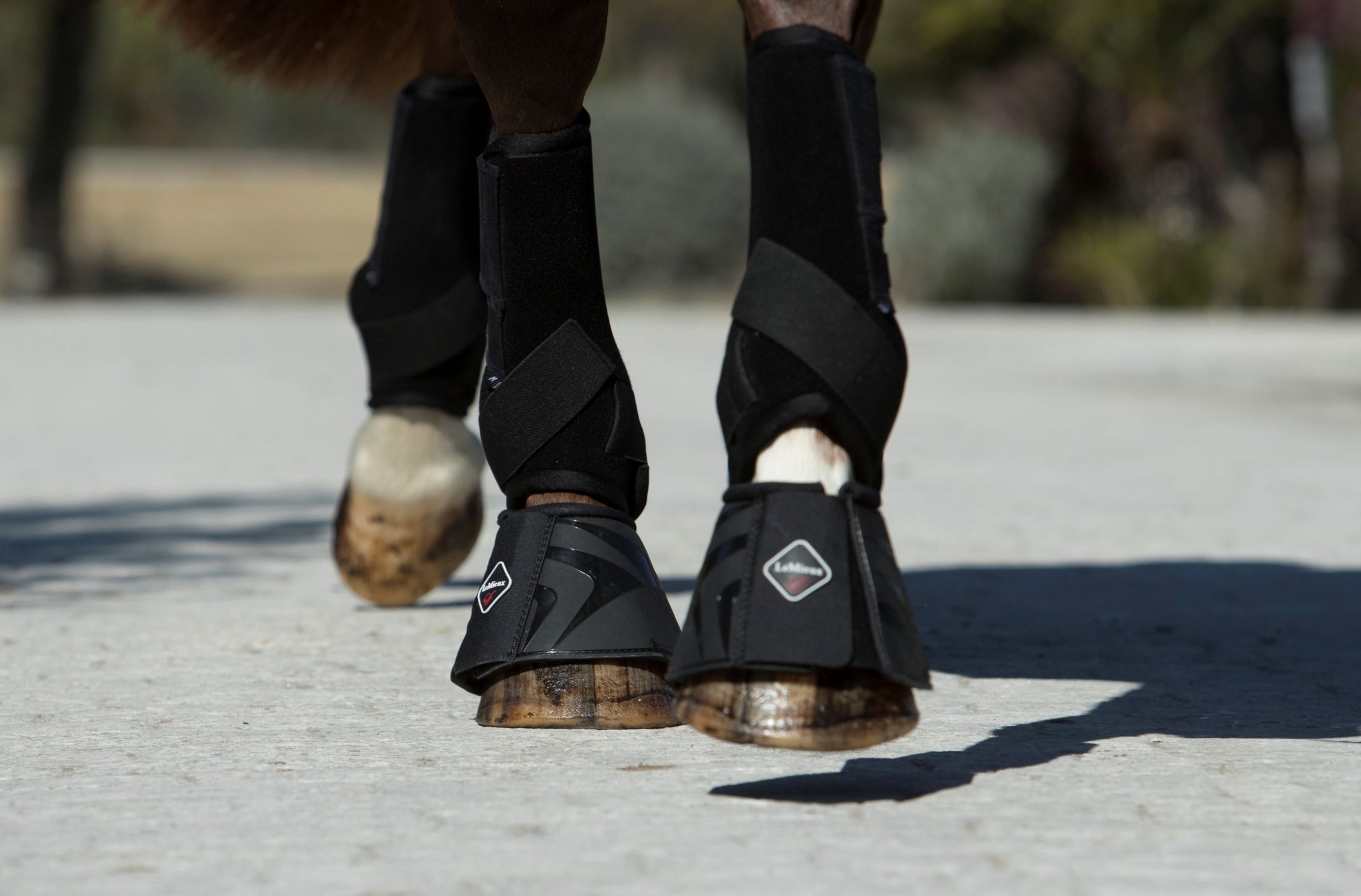LeMieux ProShell Over Reach Boots
