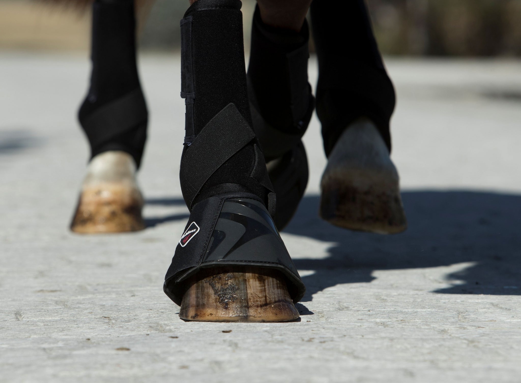 LeMieux ProShell Over Reach Boots