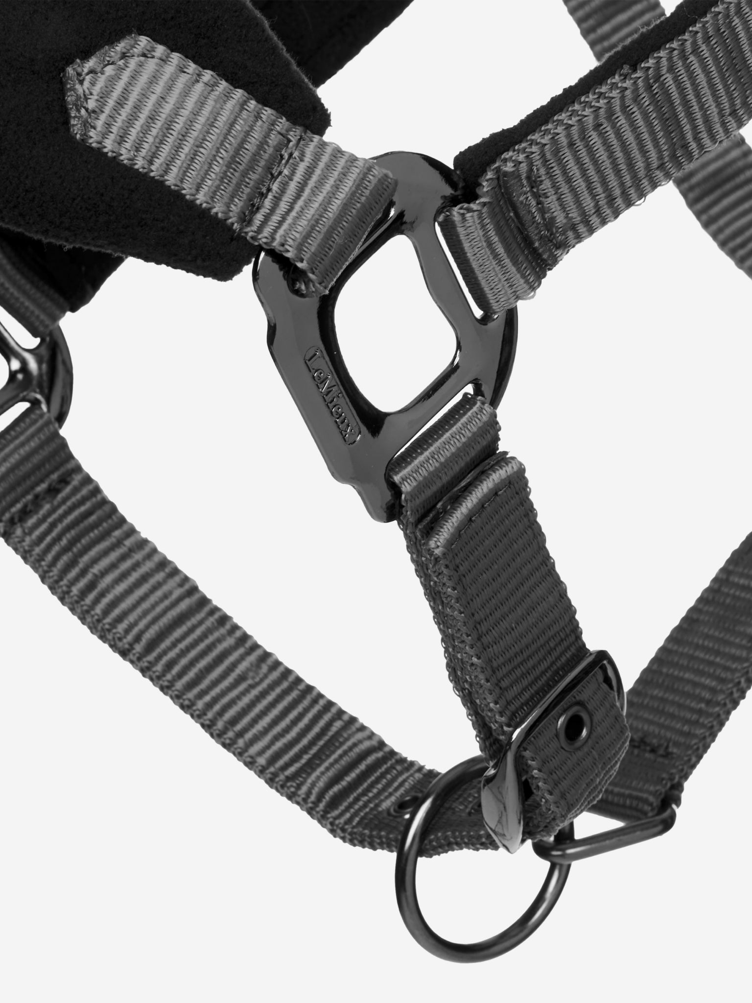 Lemieux Vogue Halter & Leadrope